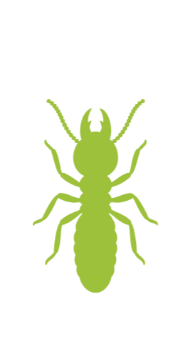 Termite Control