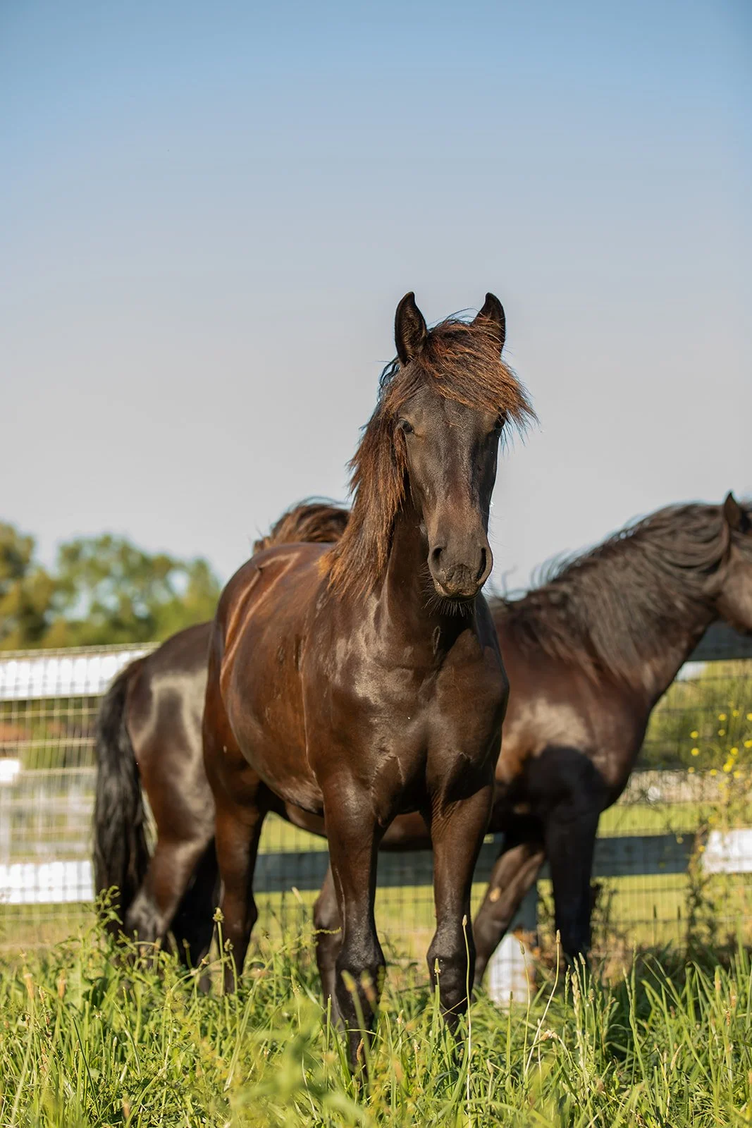 Three women having a conversation outdoors, with one wearing a red shirt and belt buckle, another in a blue shirt, and a third in a patterned poncho.