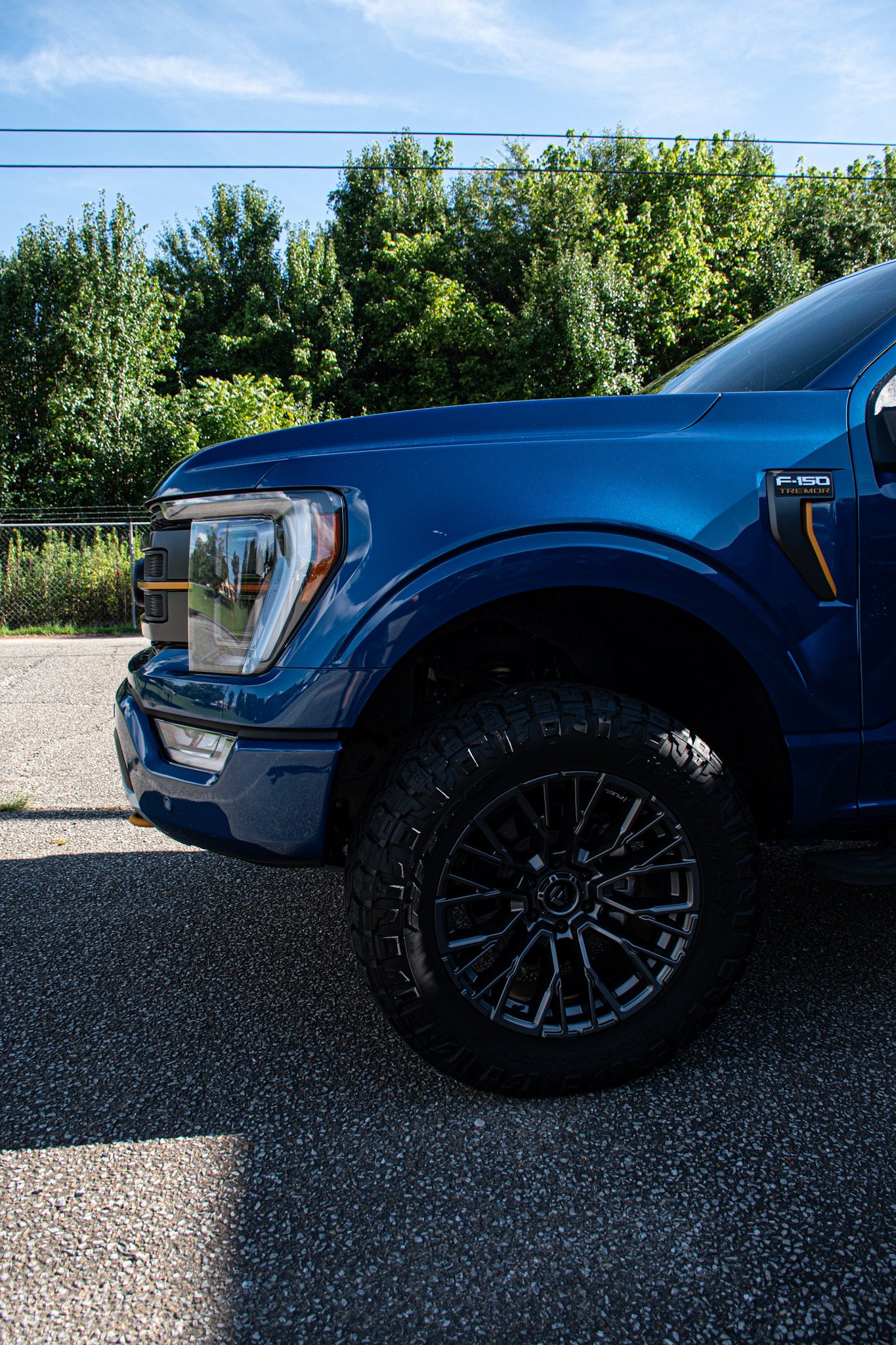 Part of a blue pickup truck parked on a textured pavement with green trees in the background and a clear blue sky.