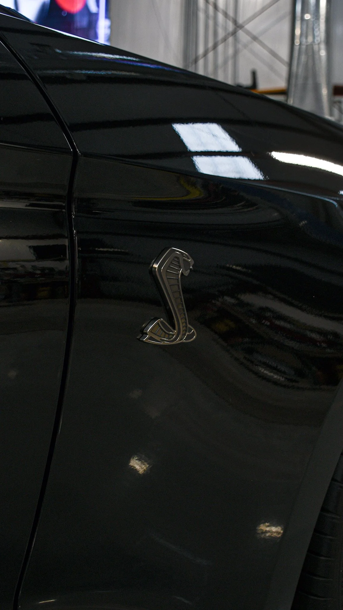A black car with a metal snake emblem on its side.