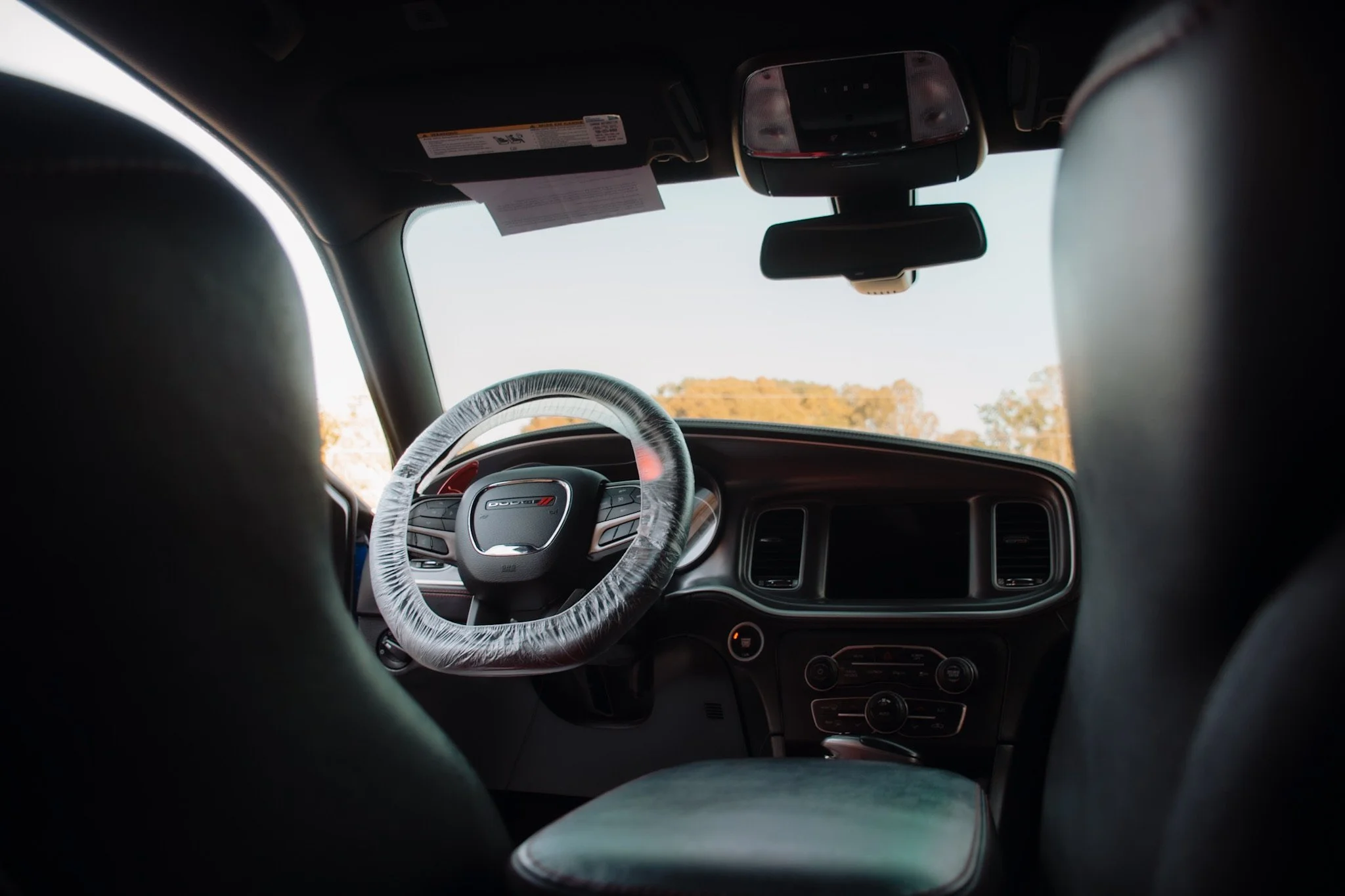 Inside view of a car's interior, focusing on the steering wheel and dashboard, with a rearview mirror and headrests visible, and trees outside the windshield.