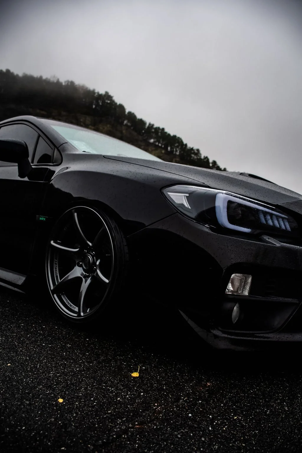 Black sports car parked on a wet road with an overcast sky and trees in the background.