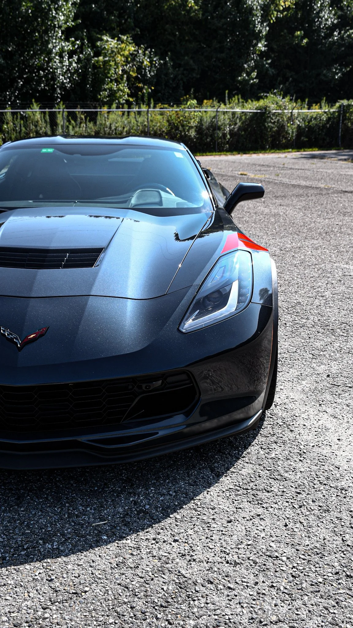 Front view of a black Chevrolet Corvette sports car parked on asphalt, with trees and a fence in the background.