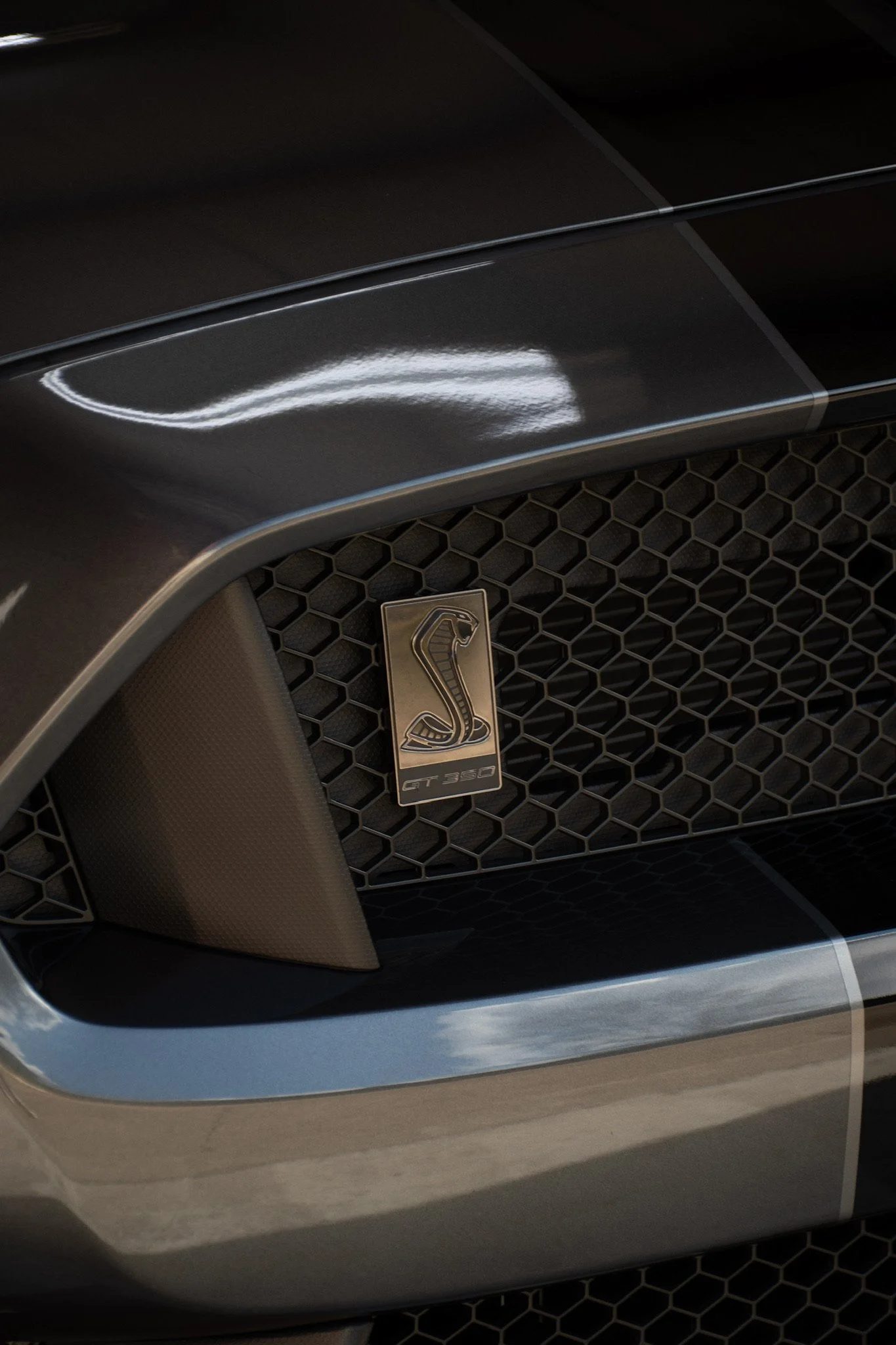 Close-up of the front grille and emblem of a silver Shelby GT350 Mustang, showing honeycomb-style grille and Shelby snake logo.
