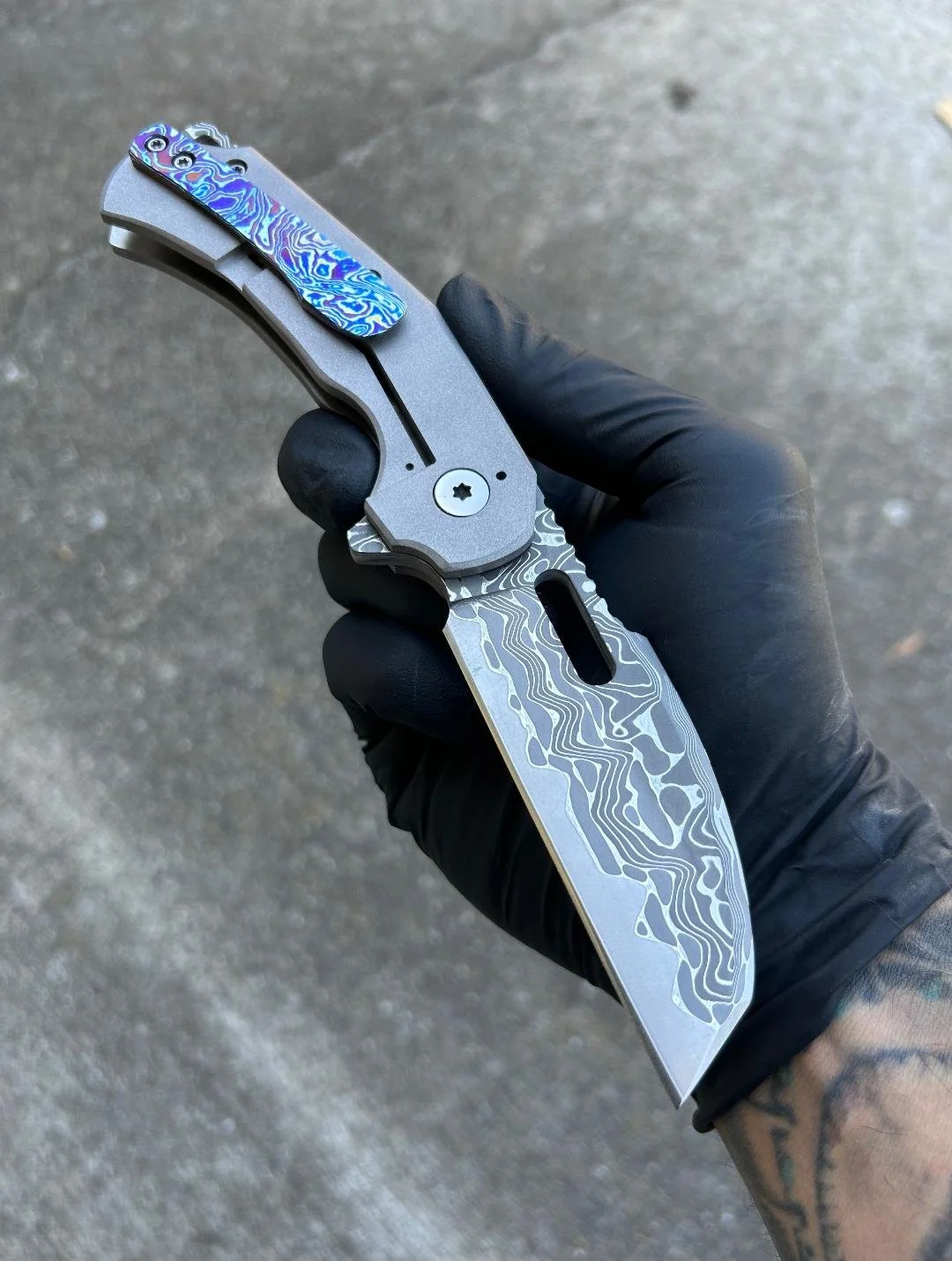 predator 5.jpg