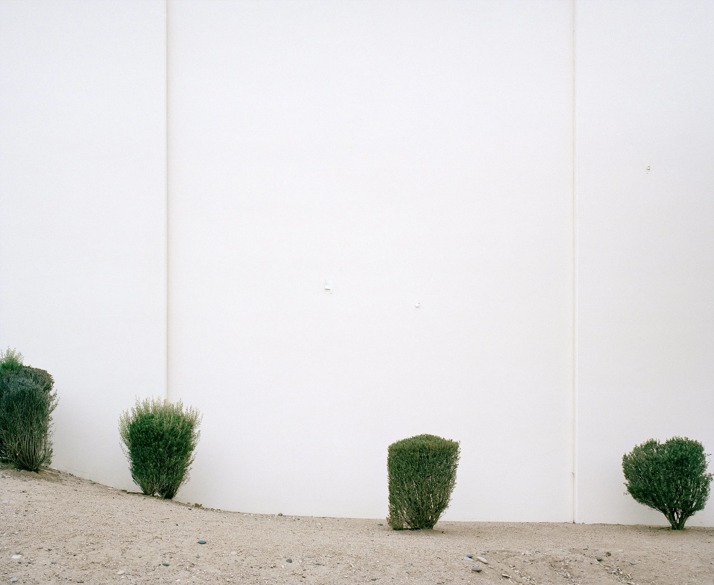 bush sand white.jpg