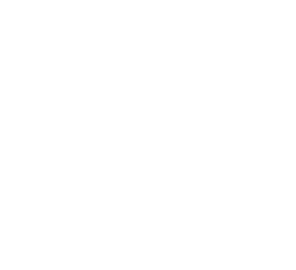 THE FREE LORDS