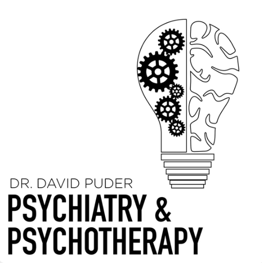 An illustration of a light bulb with one half showing gears and the inside of the brain, and the other half depicting a simplified brain outline. The text below reads "Dr. David Puder Psychiatry & Psychotherapy."