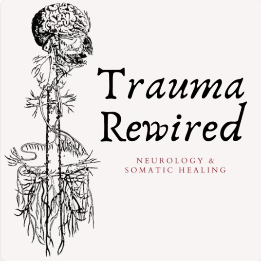 Book cover titled 'Trauma Rewired: Neurology & Somatic Healing' featuring a black and white illustration of the human nervous system.