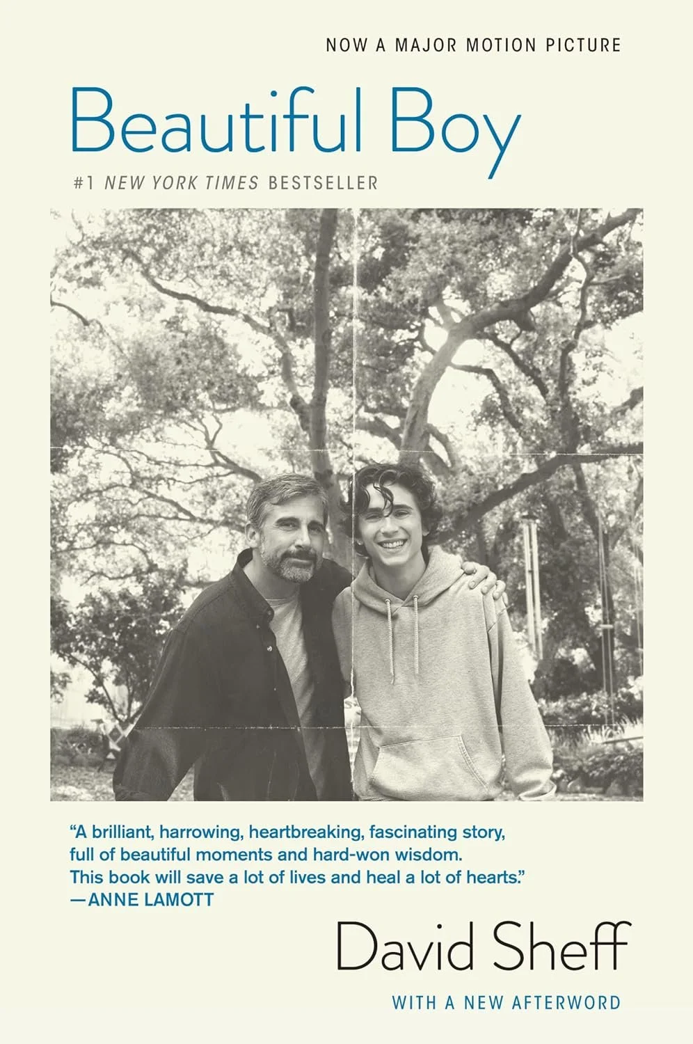 Book cover for "Beautiful Boy" by David Sheff featuring a black-and-white photo of two smiling men standing outdoors in front of trees.