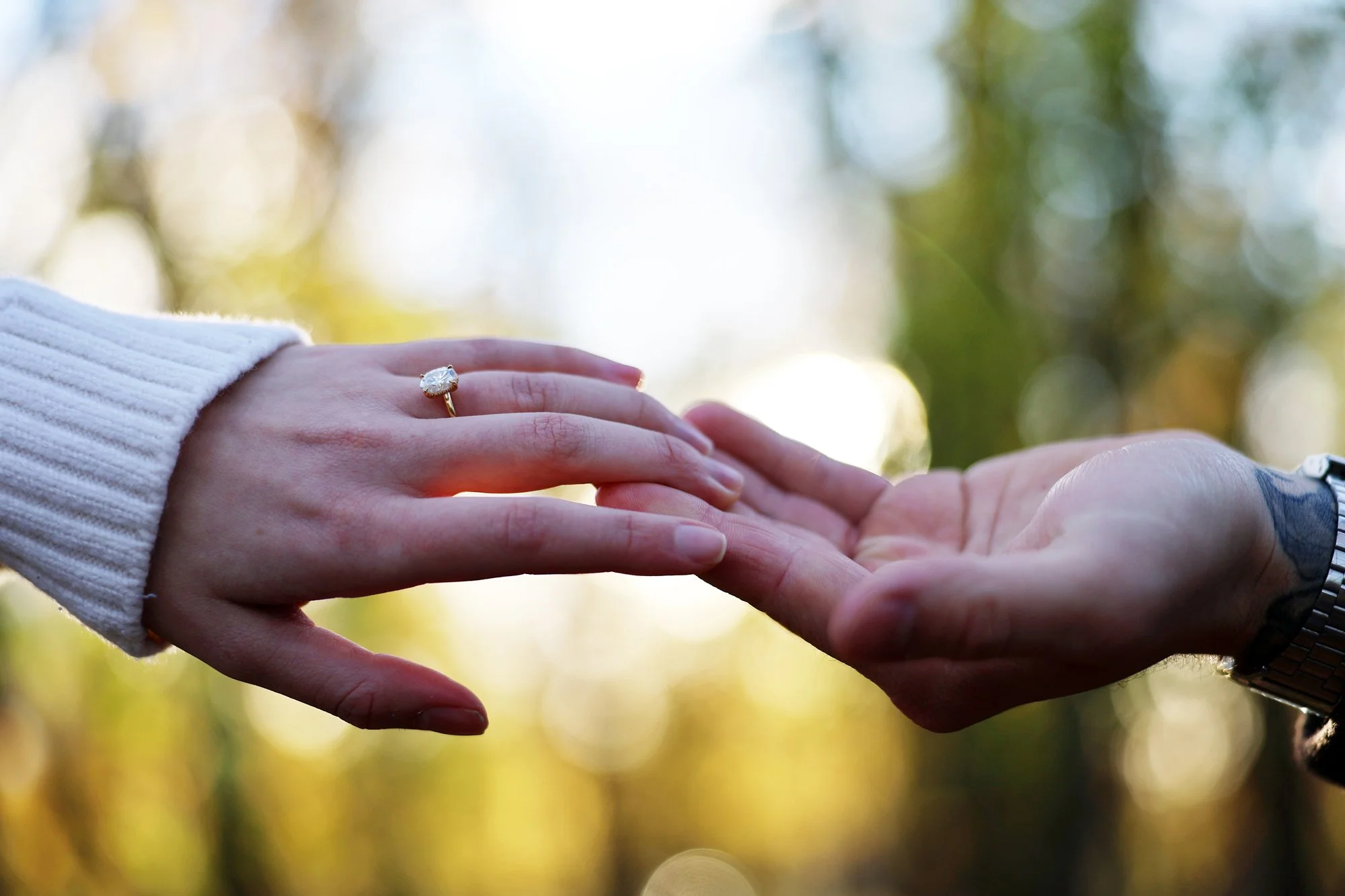 Winnipeg Engagement Photography 0019.jpg