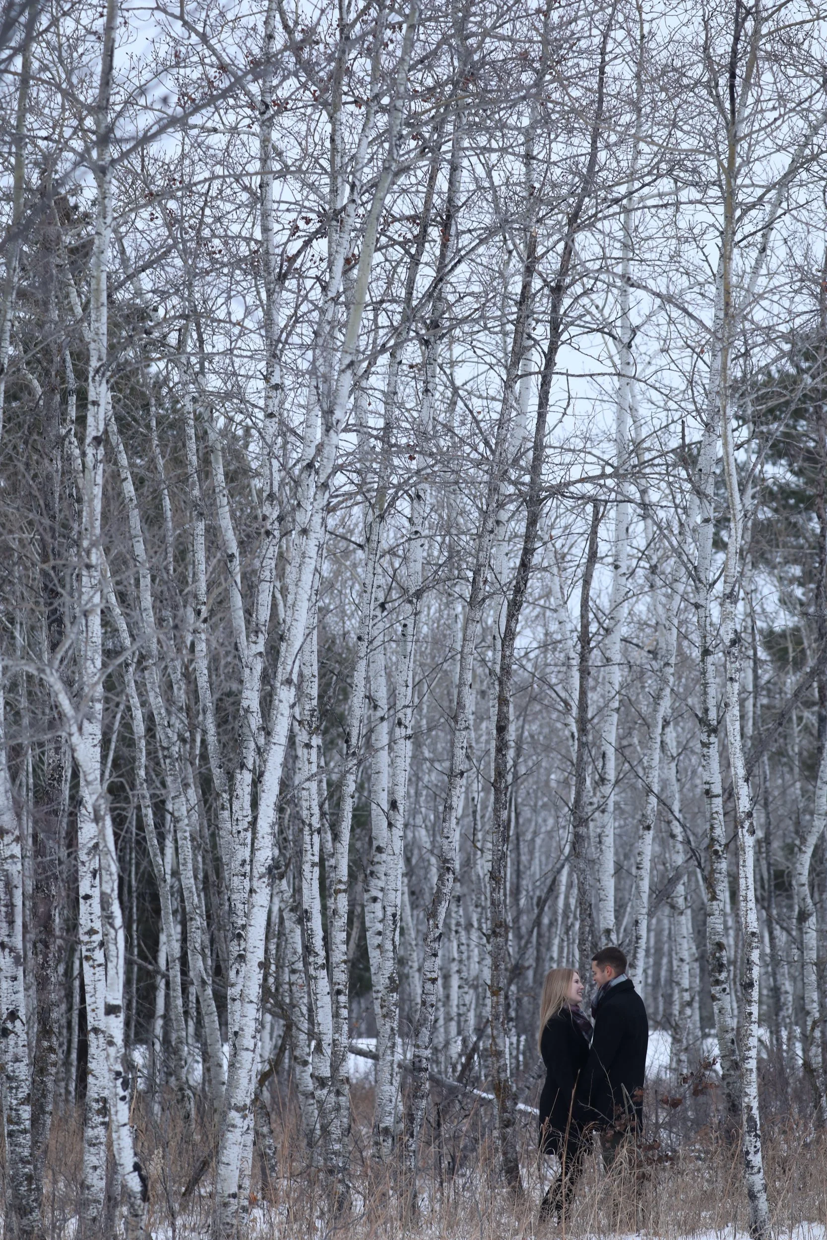EngagementPhotographersWinnipeg0036.jpg