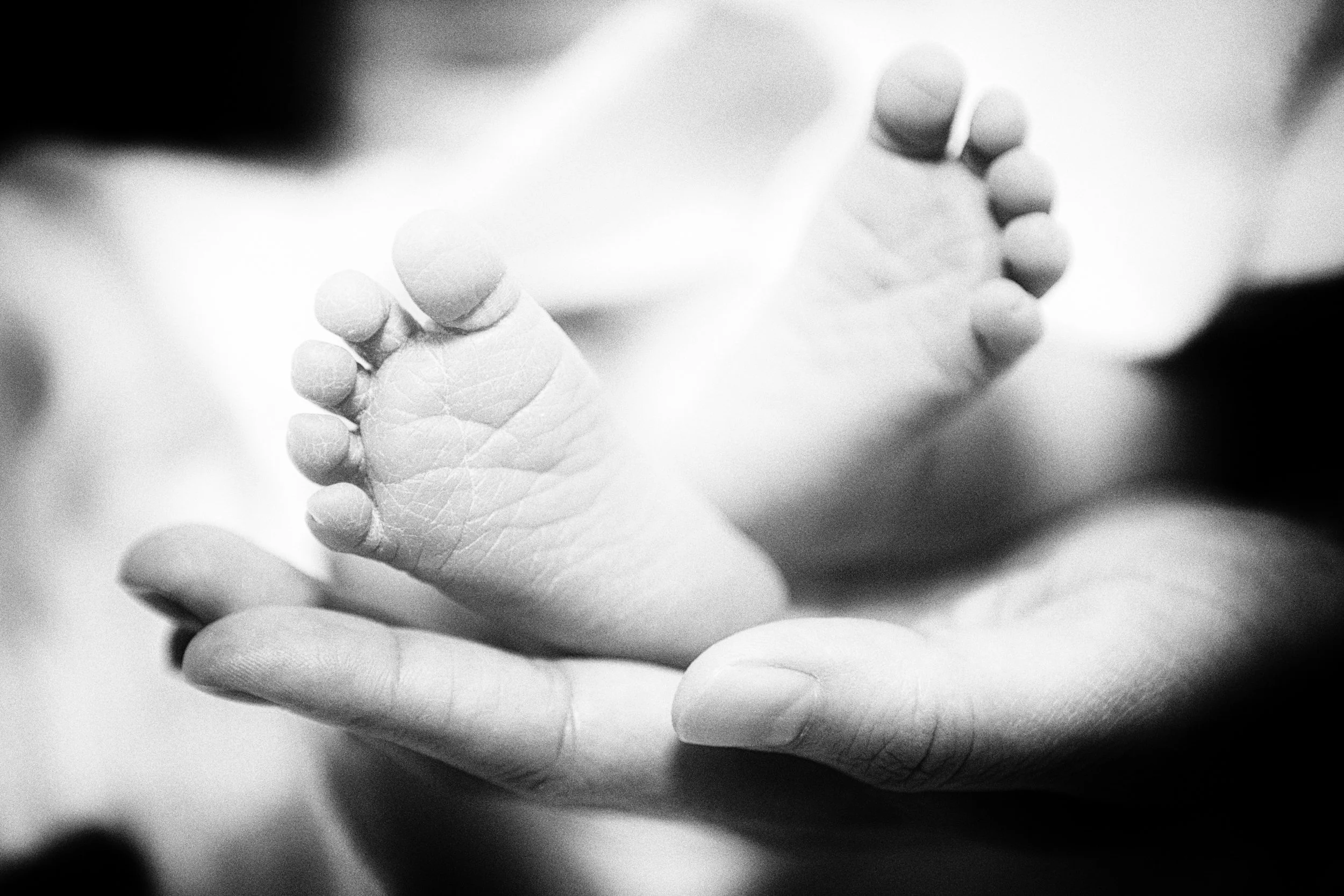 FamilyPhotographersWinnipeg0016.jpg