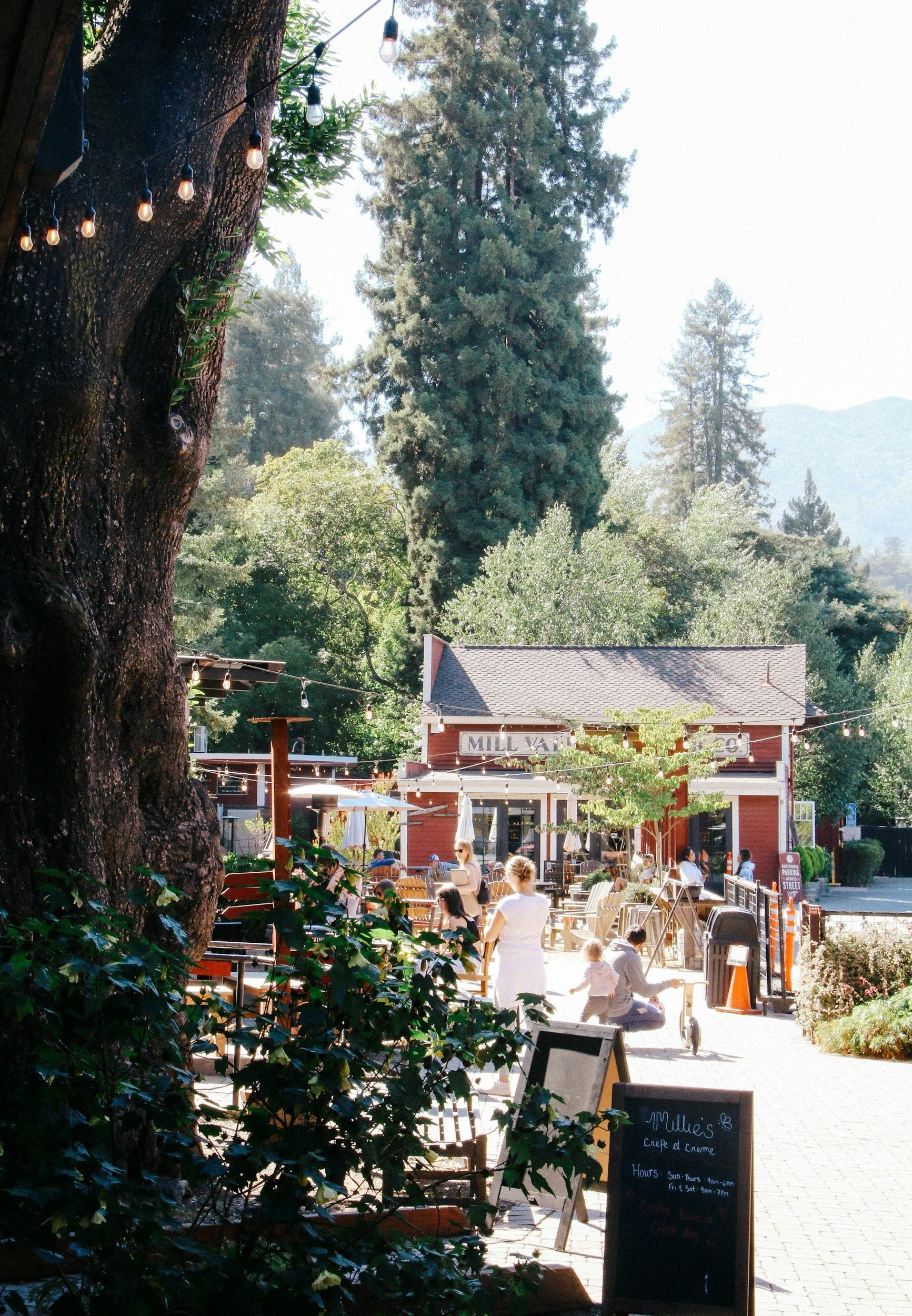 Outdoor seating area of a cafe or restaurant called Mill Valley Lumber Yard, with people sitting and walking, surrounded by trees and string lights, with a red building in the background.