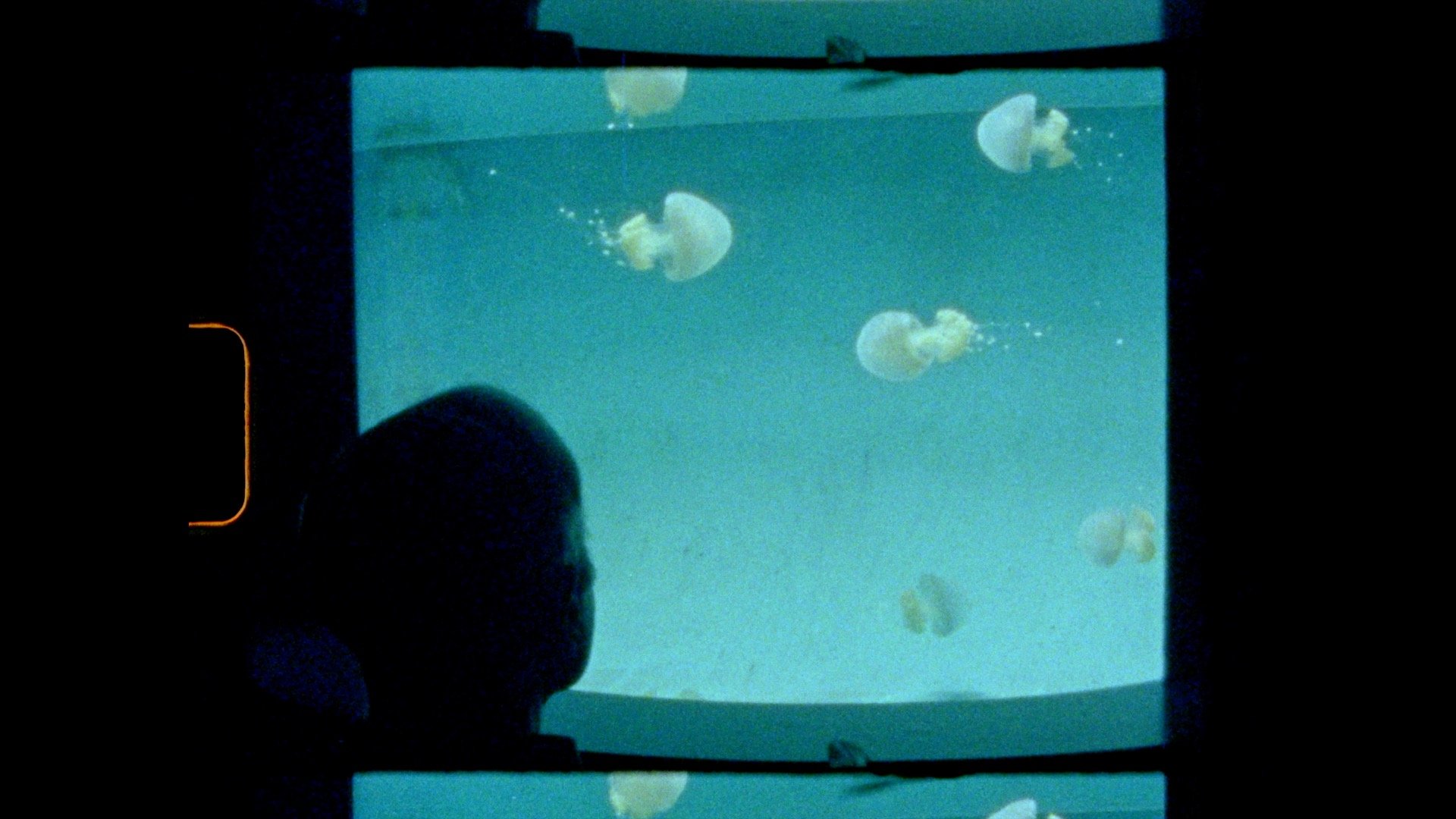 Curator BTS: Lonely City by Catherine Corman