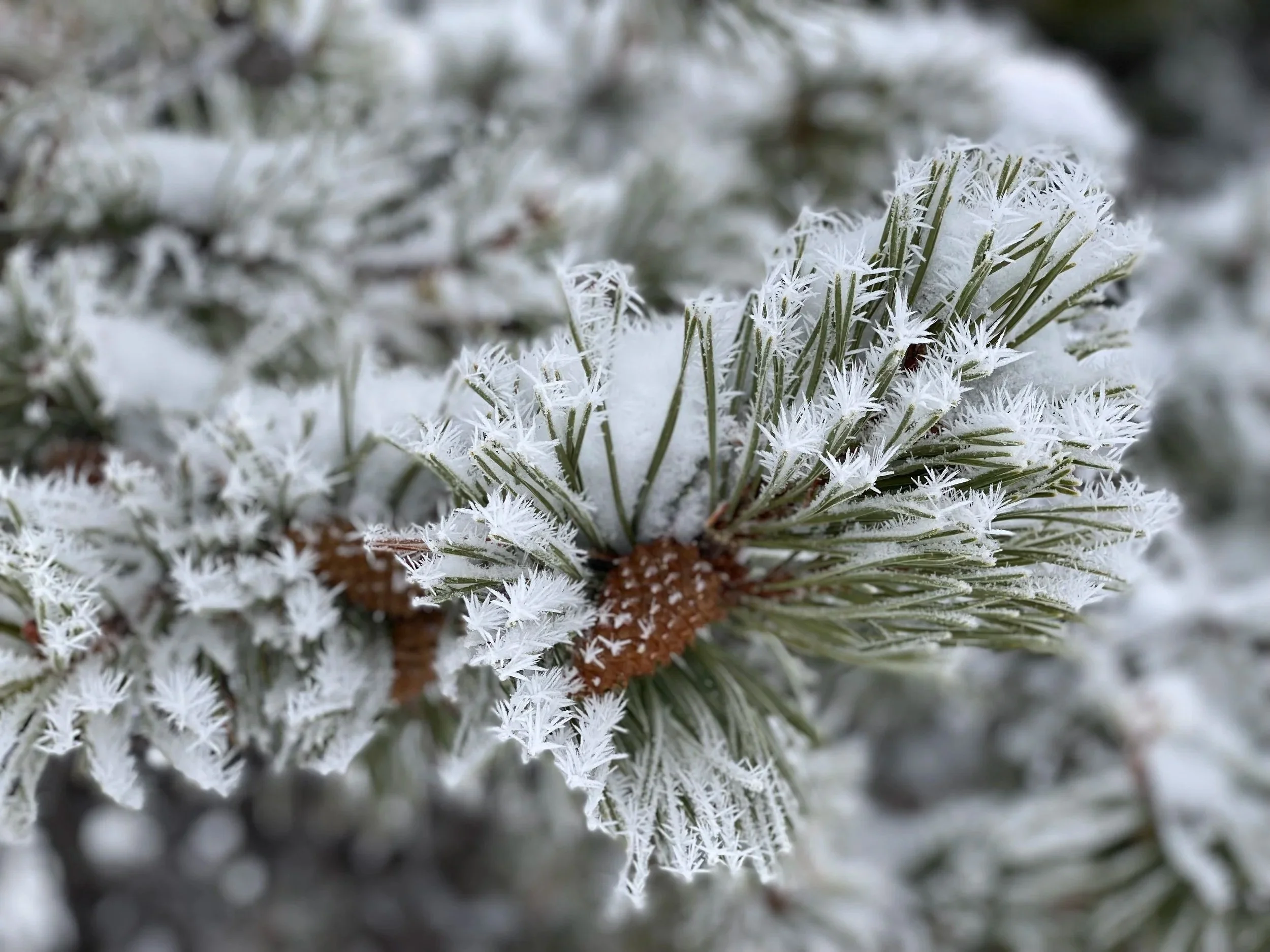 At the Threshold: Honoring the Solstice, Darkness, and Life Transitions