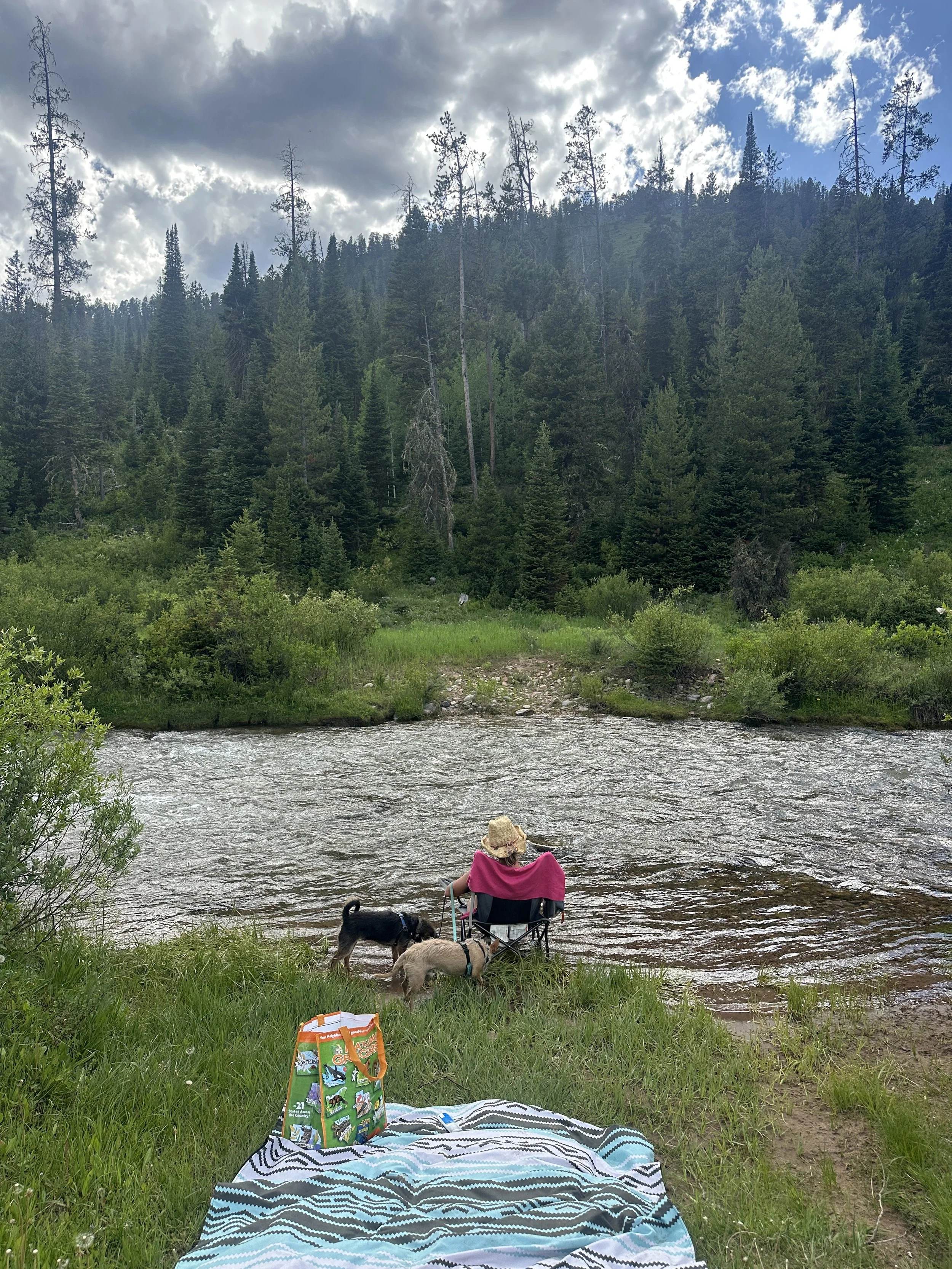 Solo Female Van Life Safety Tips: Expert Advice from a Former Law Enforcement Officer