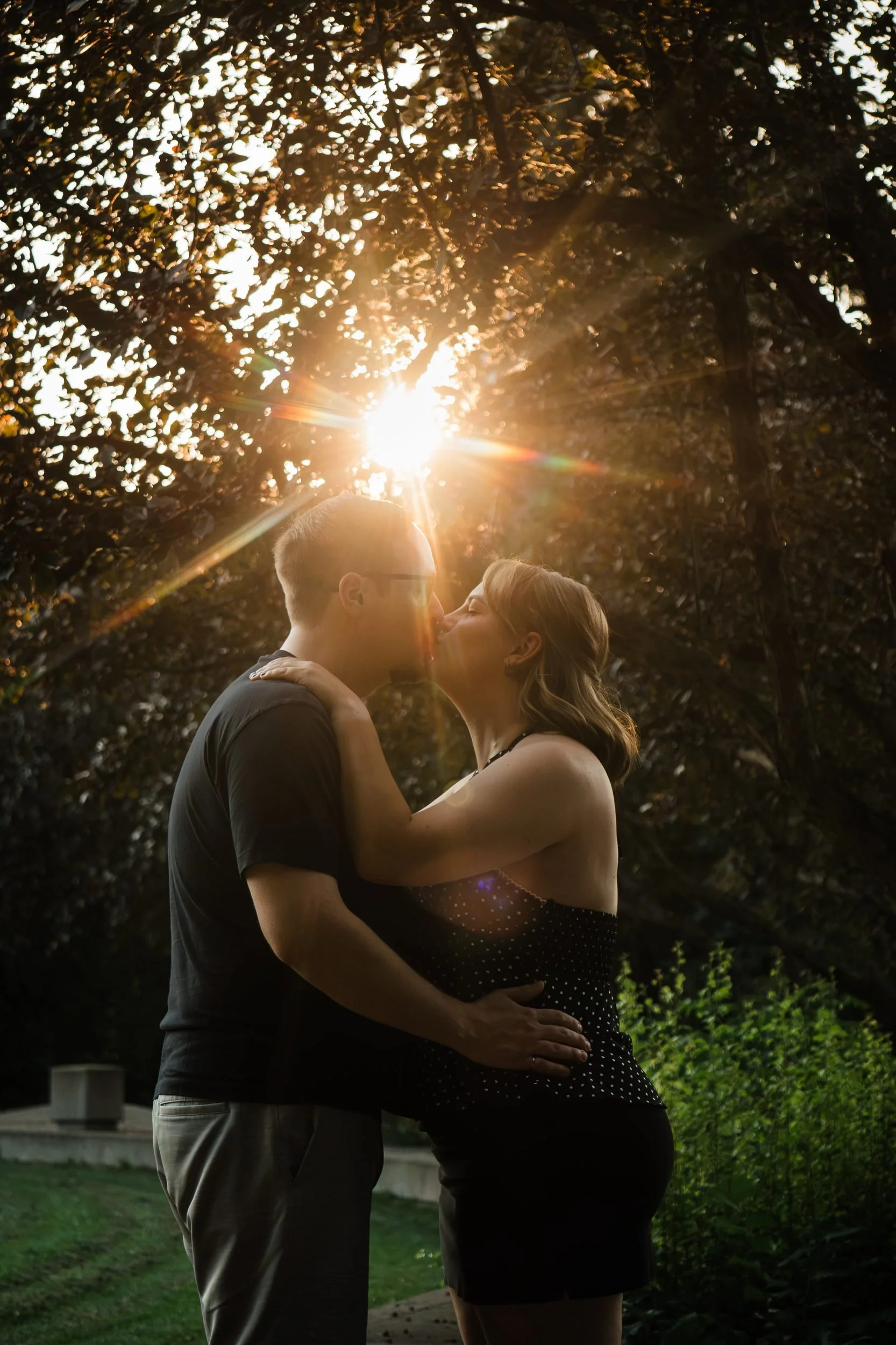 Couple embracing and kissing beneath leafy trees, with golden sunlight streaming behind them.