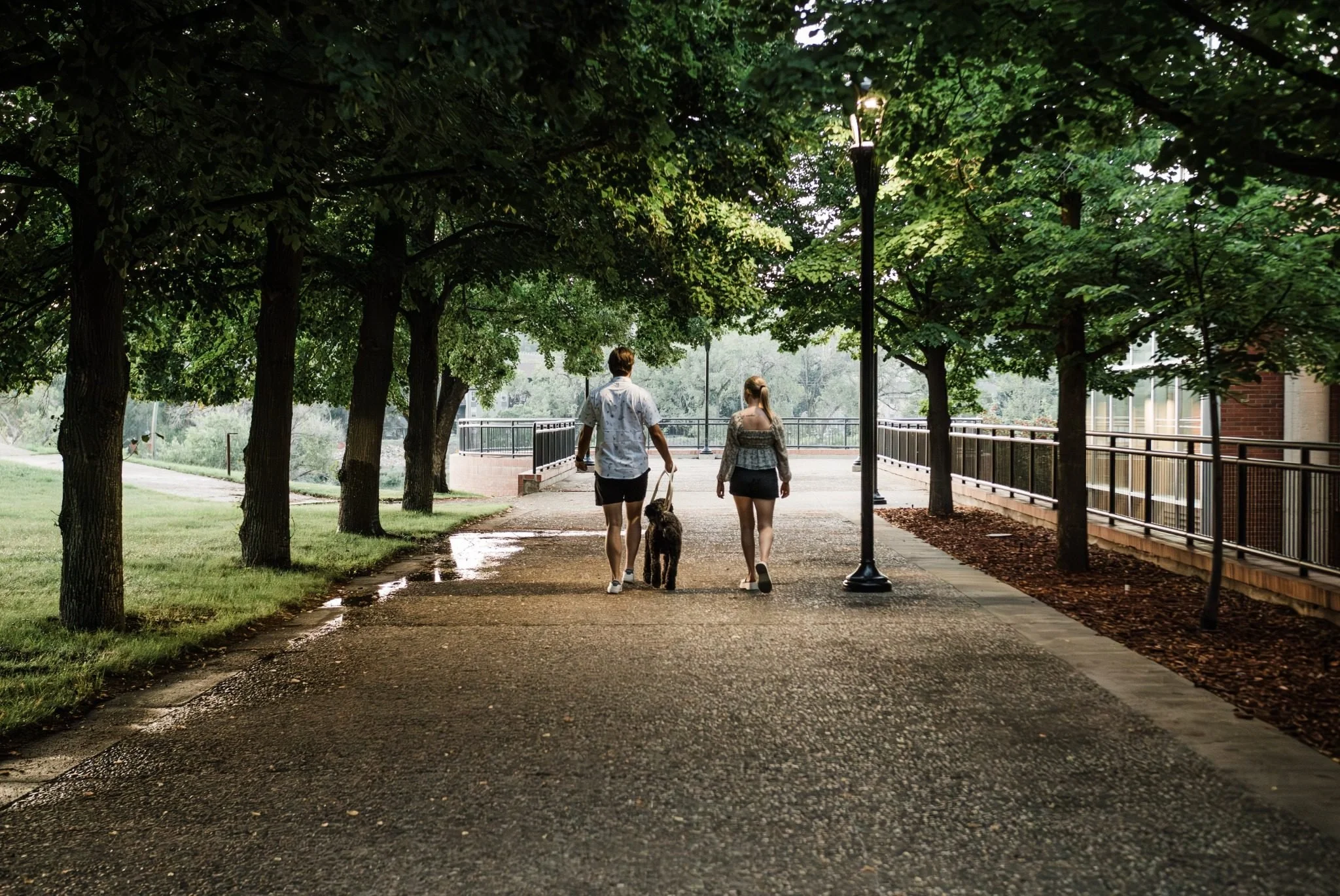 Couple walking with their dog through downtown Medicine Hat during an Alberta couples photography session by Kevin M Films.