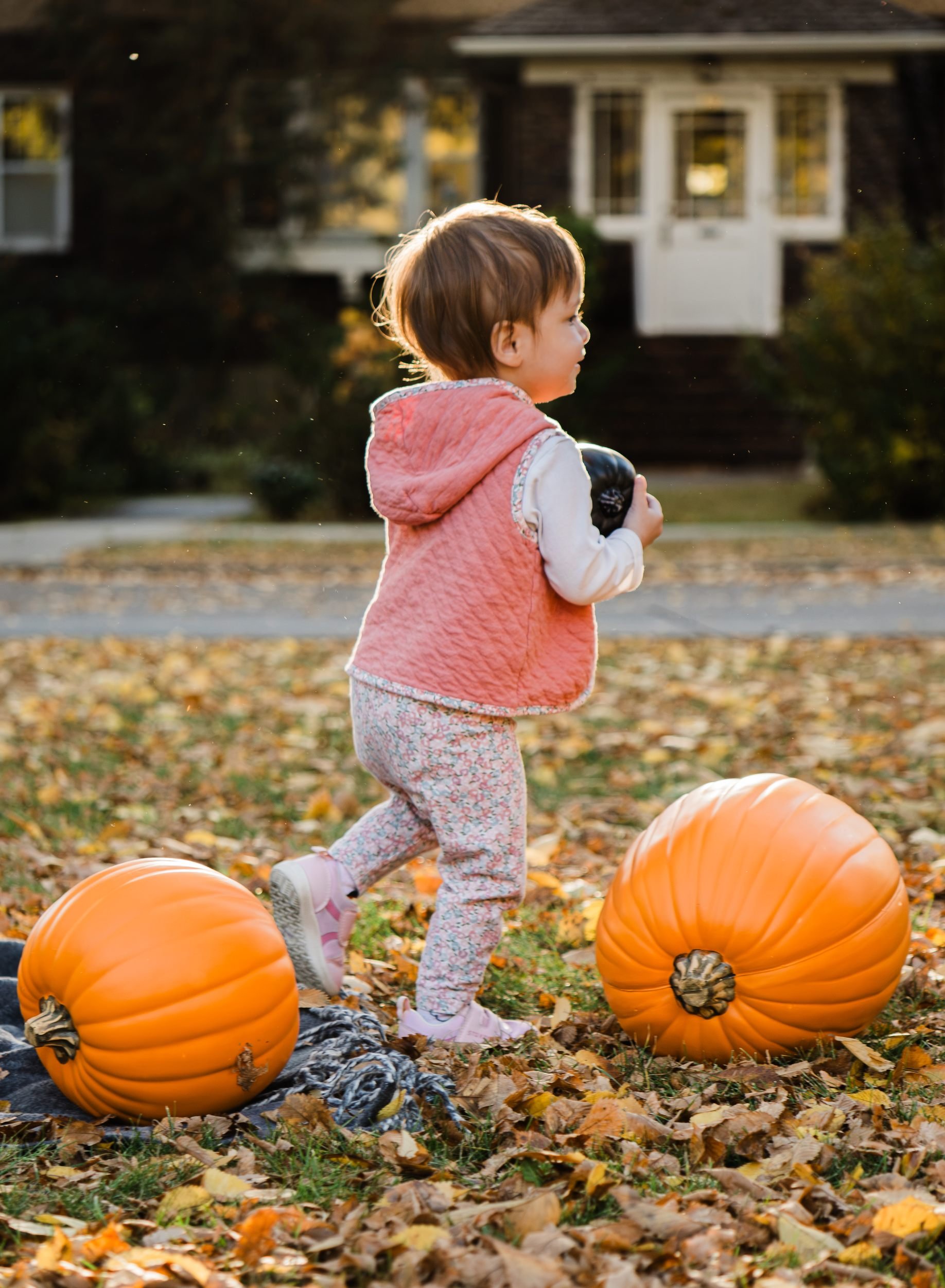 Young child in a pink vest carrying a small black pumpkin among fallen leaves and orange pumpkins in warm fall sunlight.