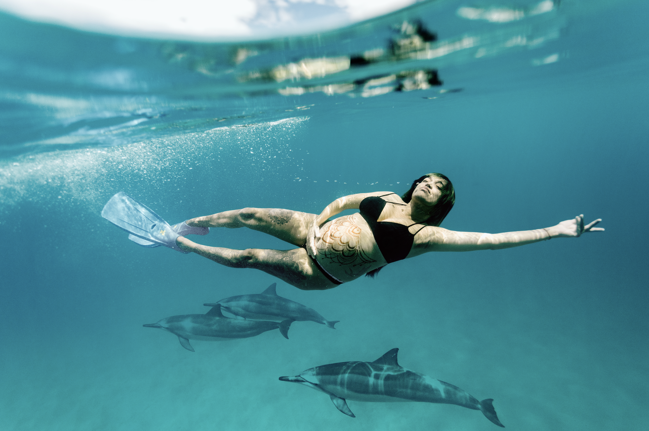 Screenshot 2026-02-07 at 1.11.05 PM.png