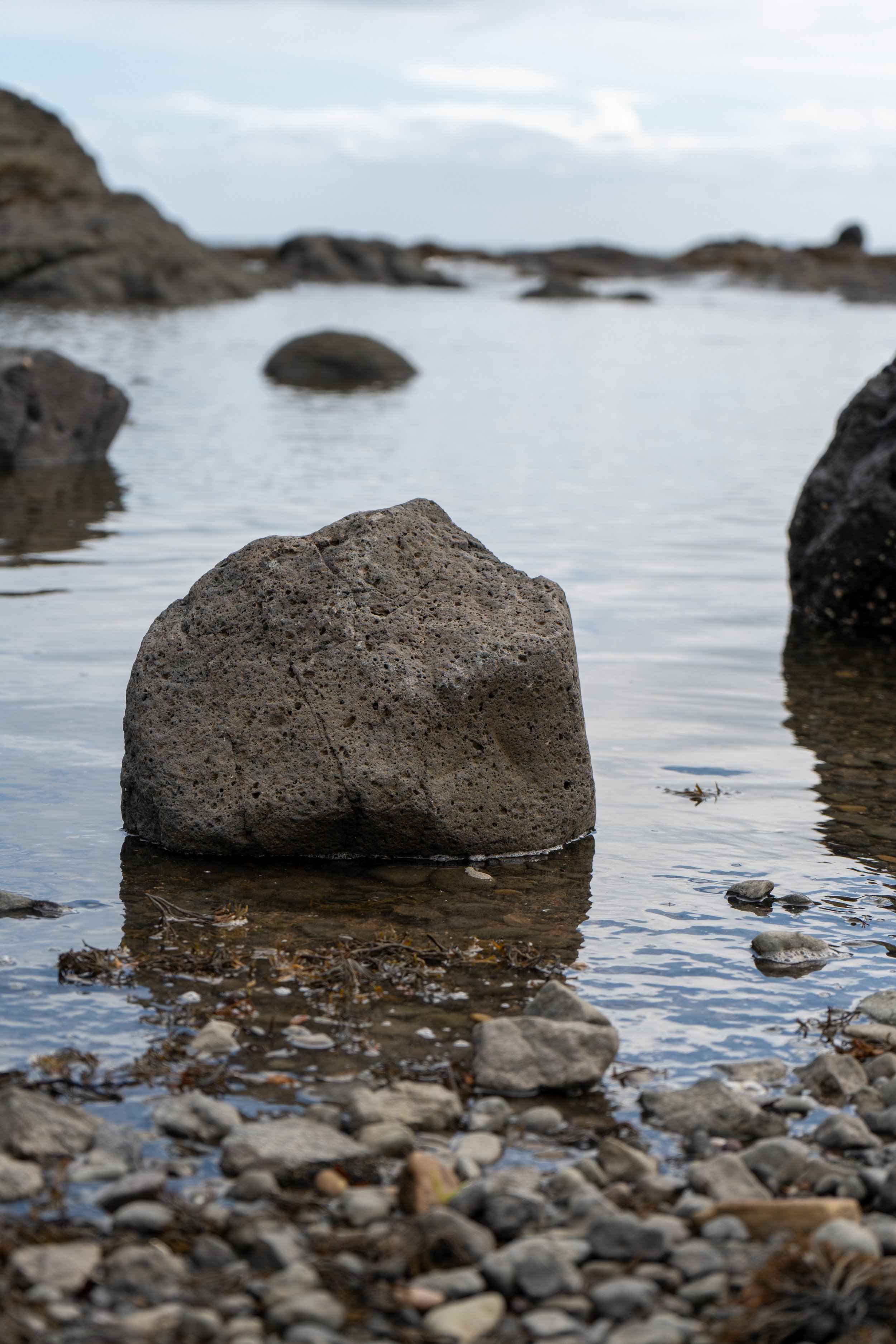 Elie-05882.jpg