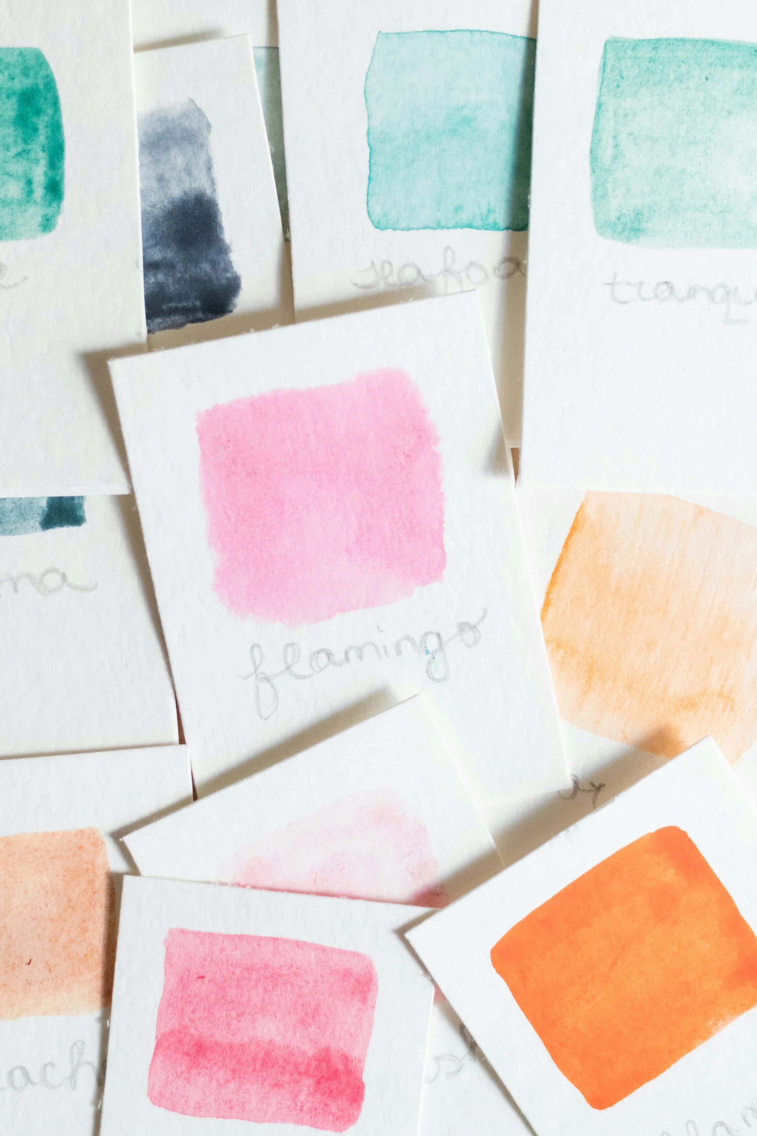 Multiple watercolor paint swatches on small sheets of paper, labeled with handwritten words such as 'shale' and 'flamingo'.
