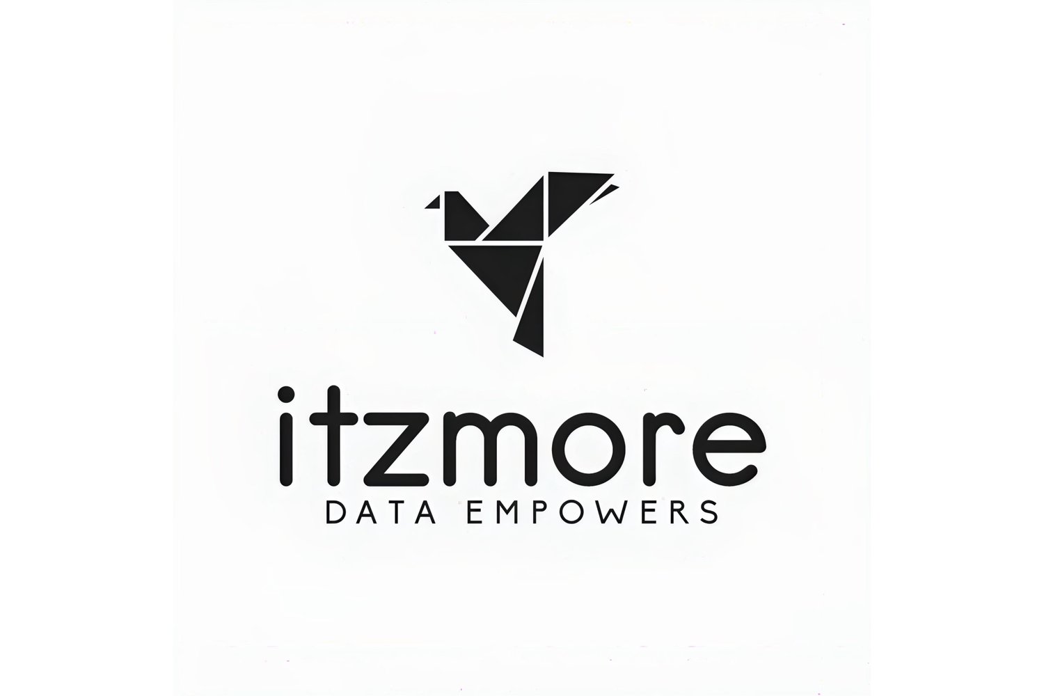 ITZMORE | DATA EMPOWERS