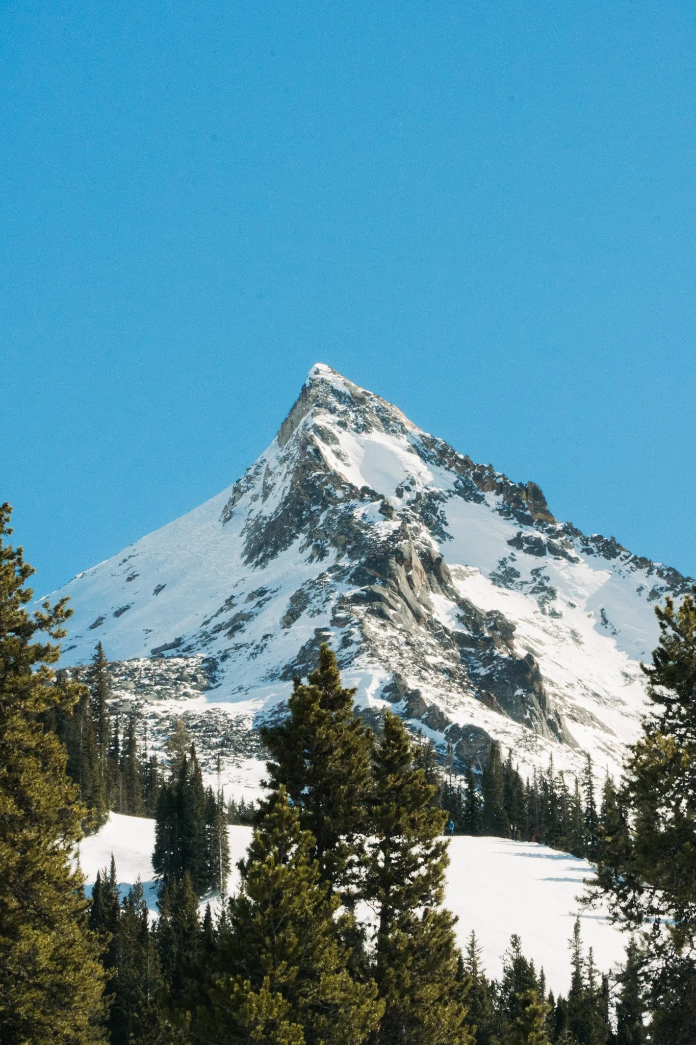 crested_butte_2025-79 copy.jpg