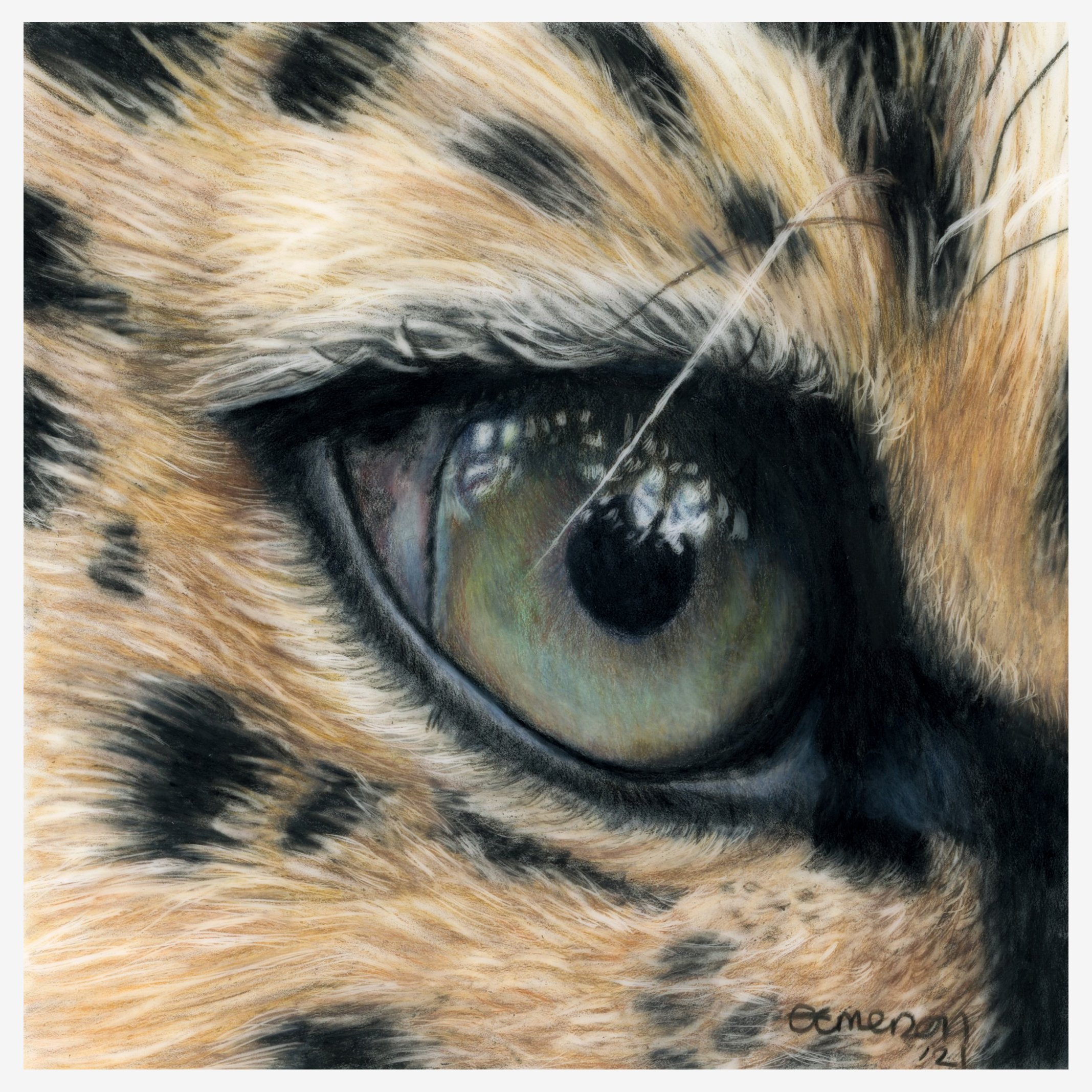 leopard eye print image.jpg