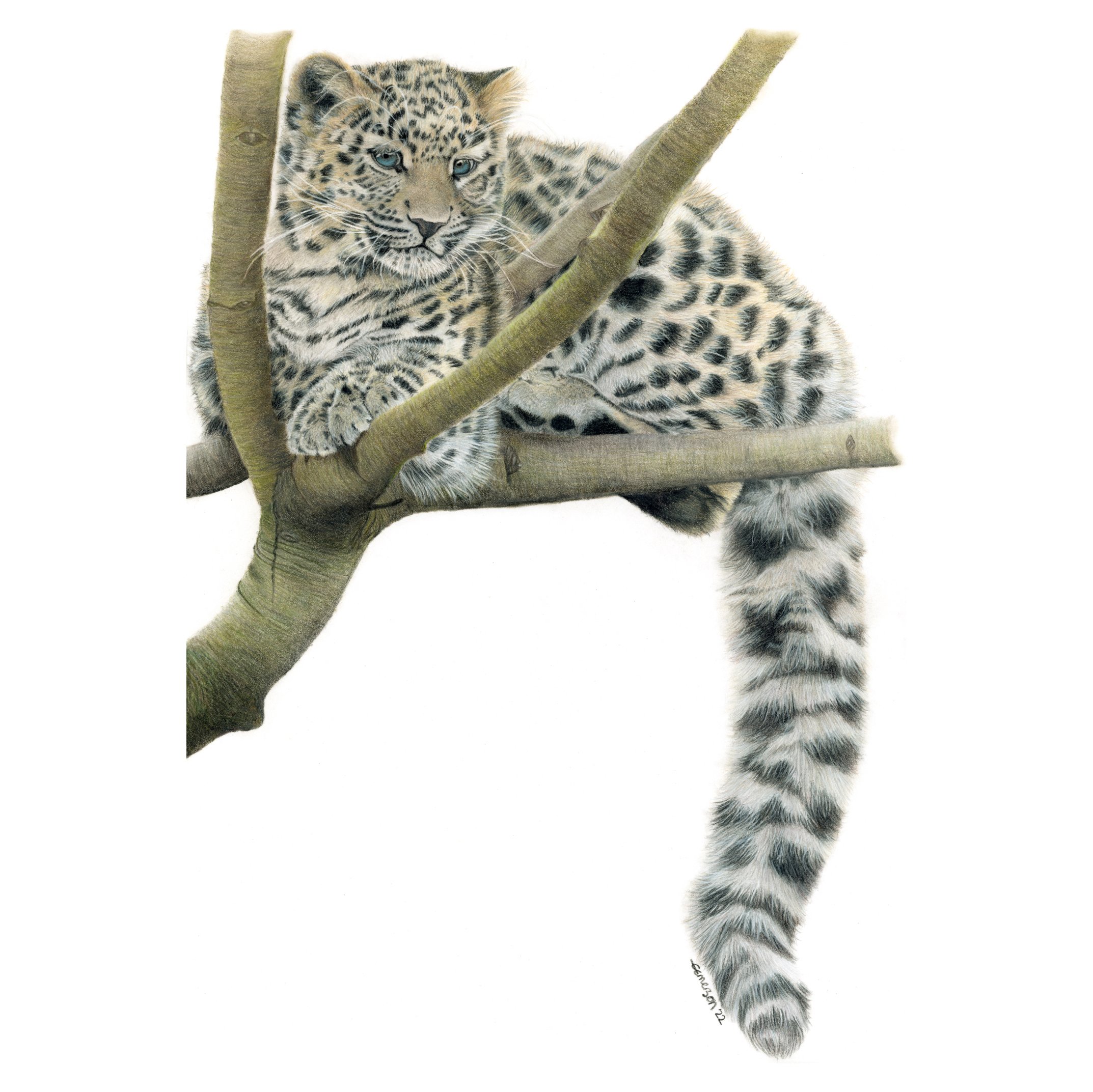 Curiosity Print image_square.jpg