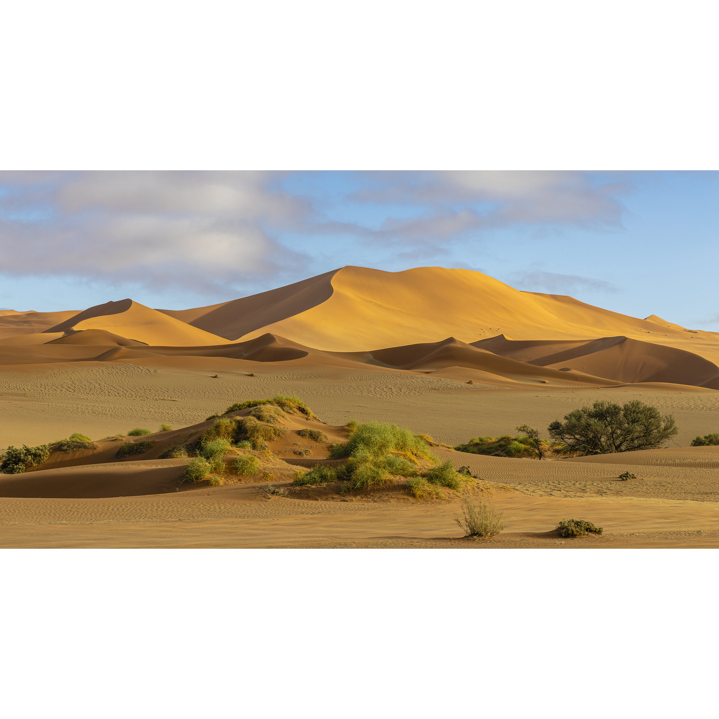 Early Morning in the Namib Desert 1_square.jpg