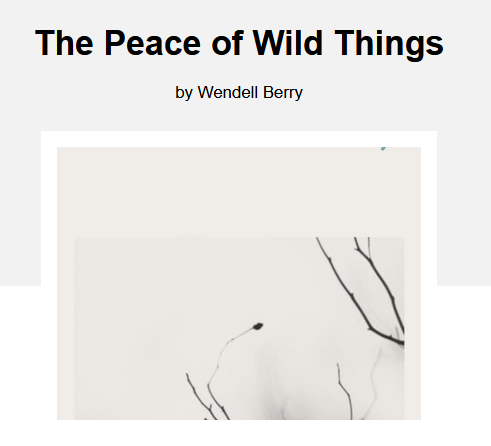 “The Peace of Wild Things”                                        by Wendell Berry