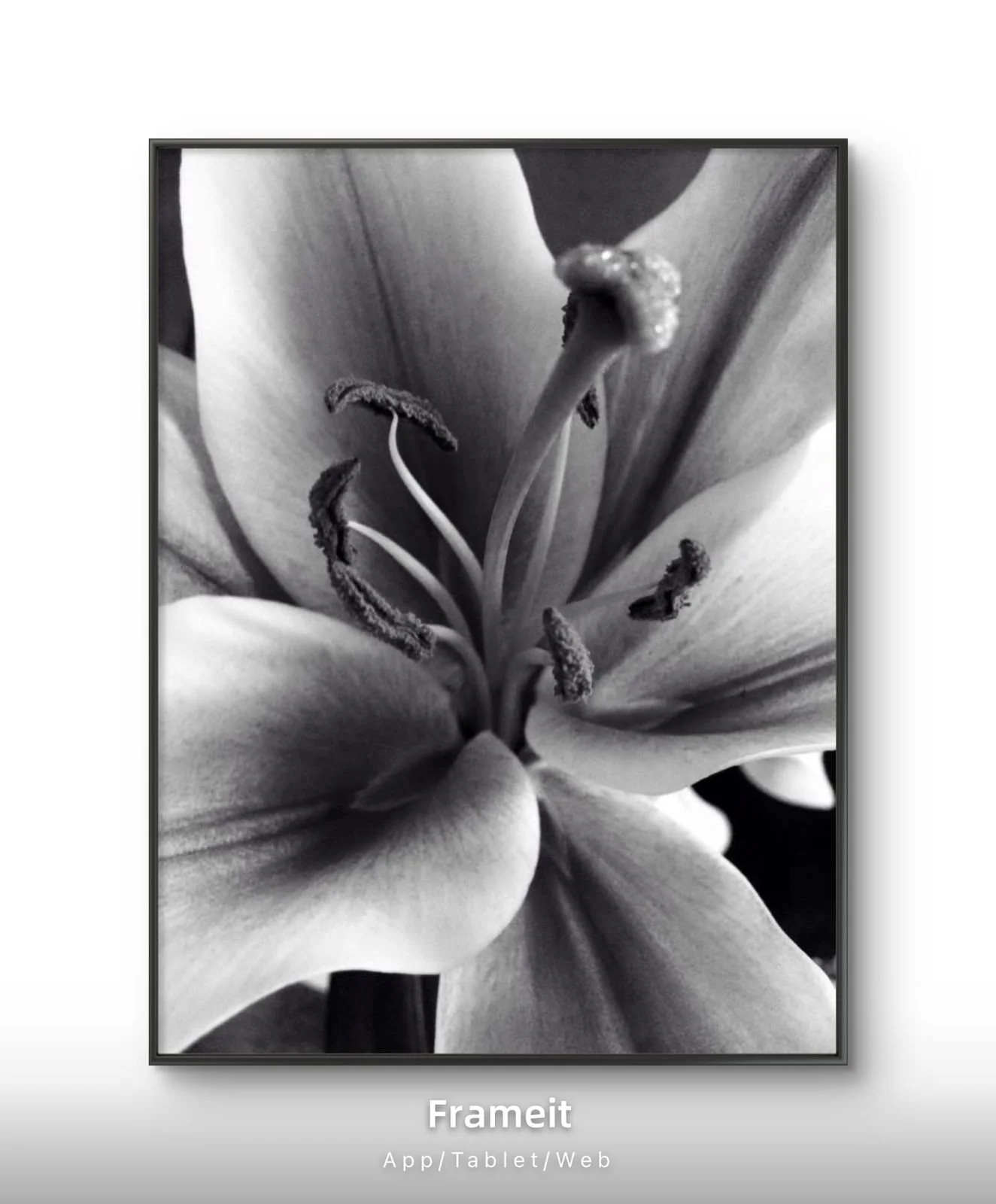 PHOTO-2026-03-17-17-46-53 (11).jpg