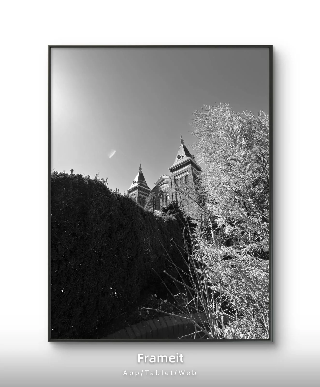 PHOTO-2026-03-17-17-46-53 (25).jpg