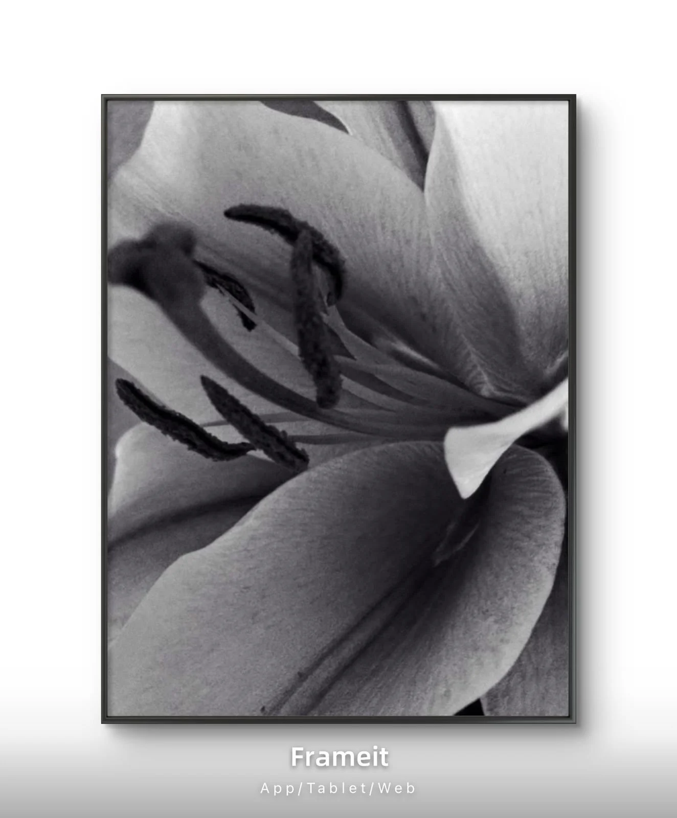 PHOTO-2026-03-17-17-46-53 (7).jpg