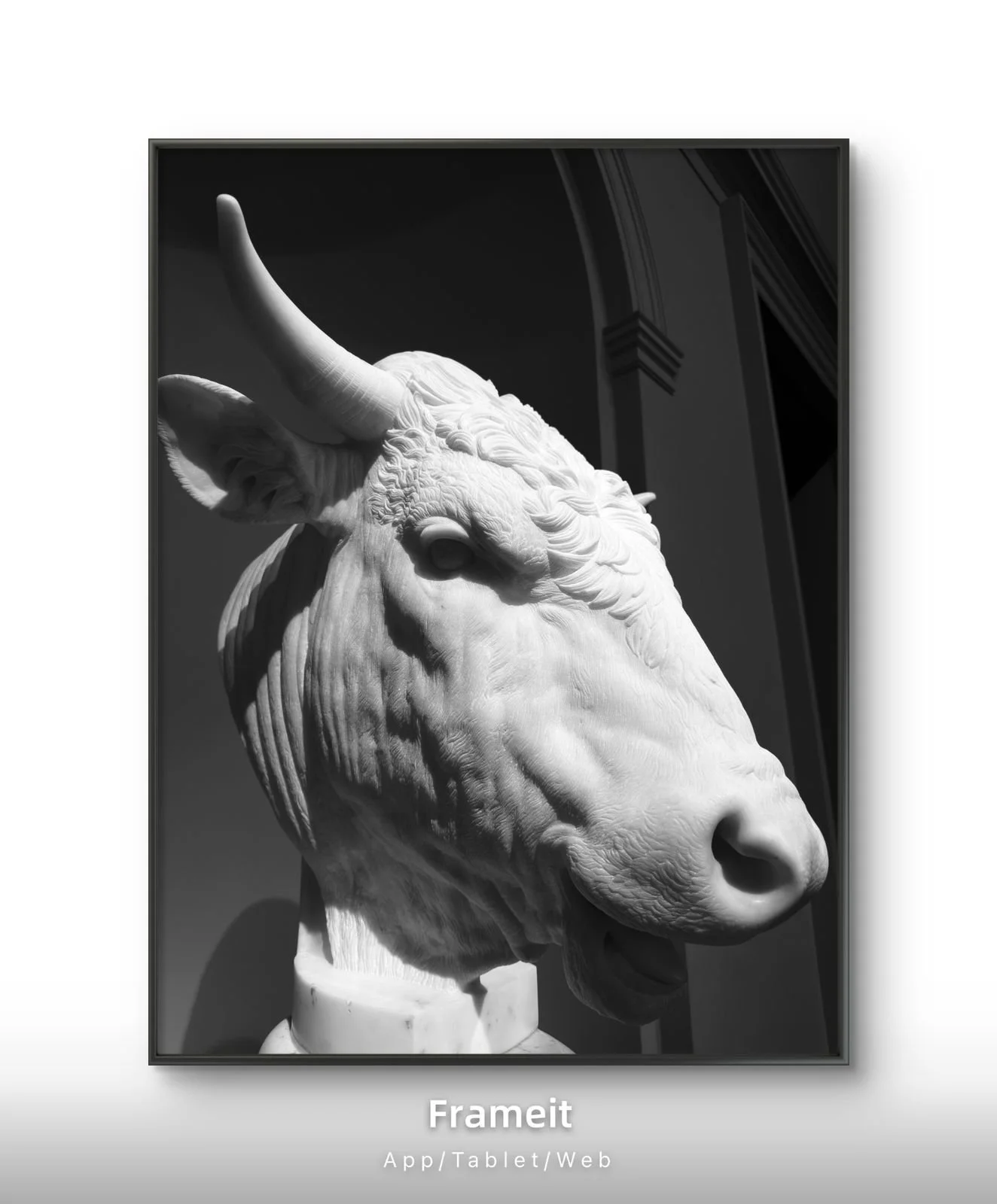 PHOTO-2026-03-17-17-46-53 (10).jpg