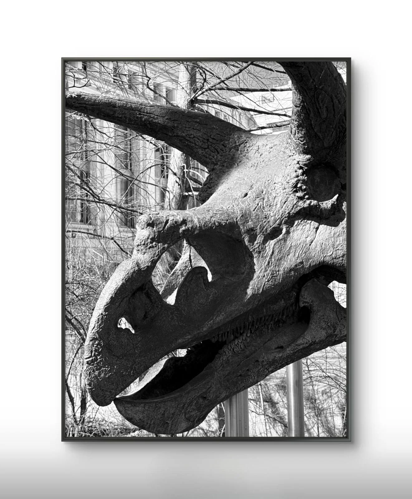 PHOTO-2026-03-17-17-46-53 (28).jpg