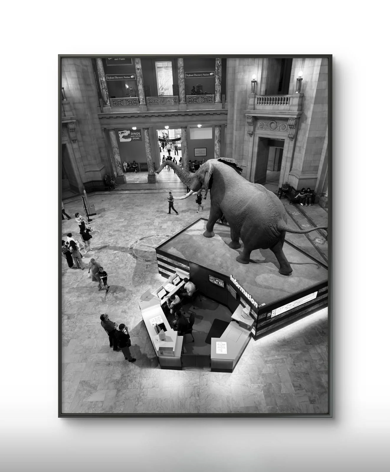 PHOTO-2026-03-17-17-46-53 (22).jpg