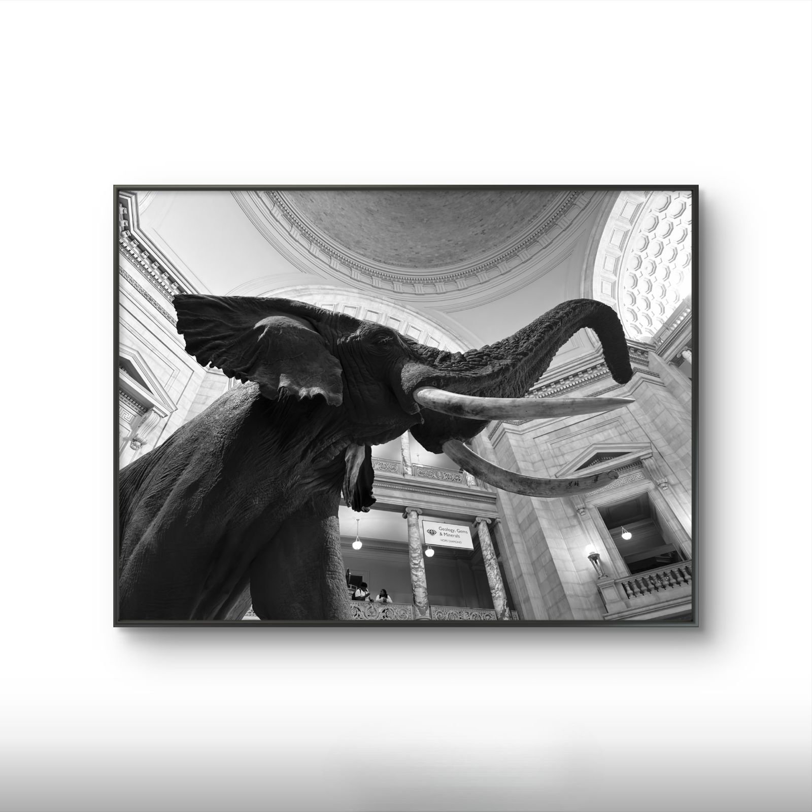 PHOTO-2026-03-17-17-46-53 (18).jpg