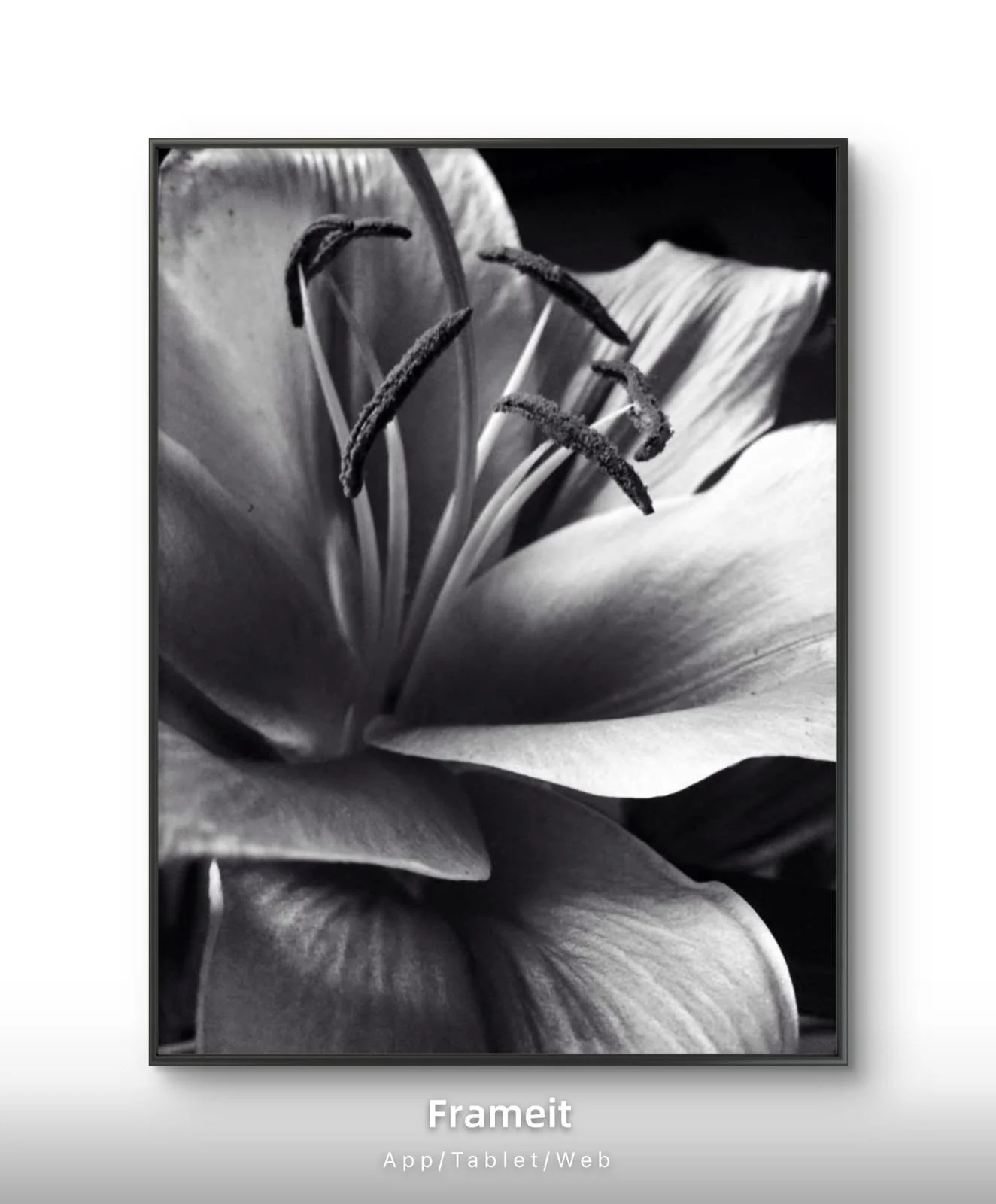 PHOTO-2026-03-17-17-46-53 (19).jpg