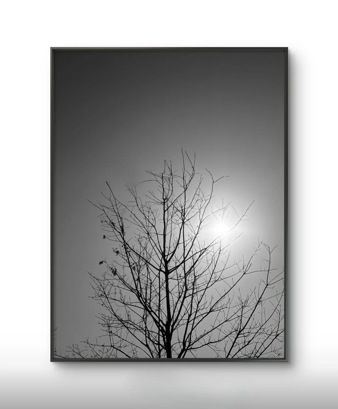 PHOTO-2026-03-17-17-46-53 (5).jpg