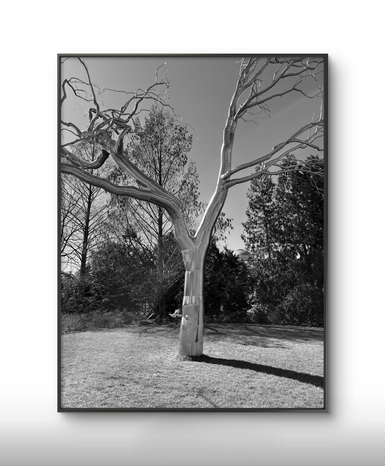 PHOTO-2026-03-17-17-46-53 (26).jpg