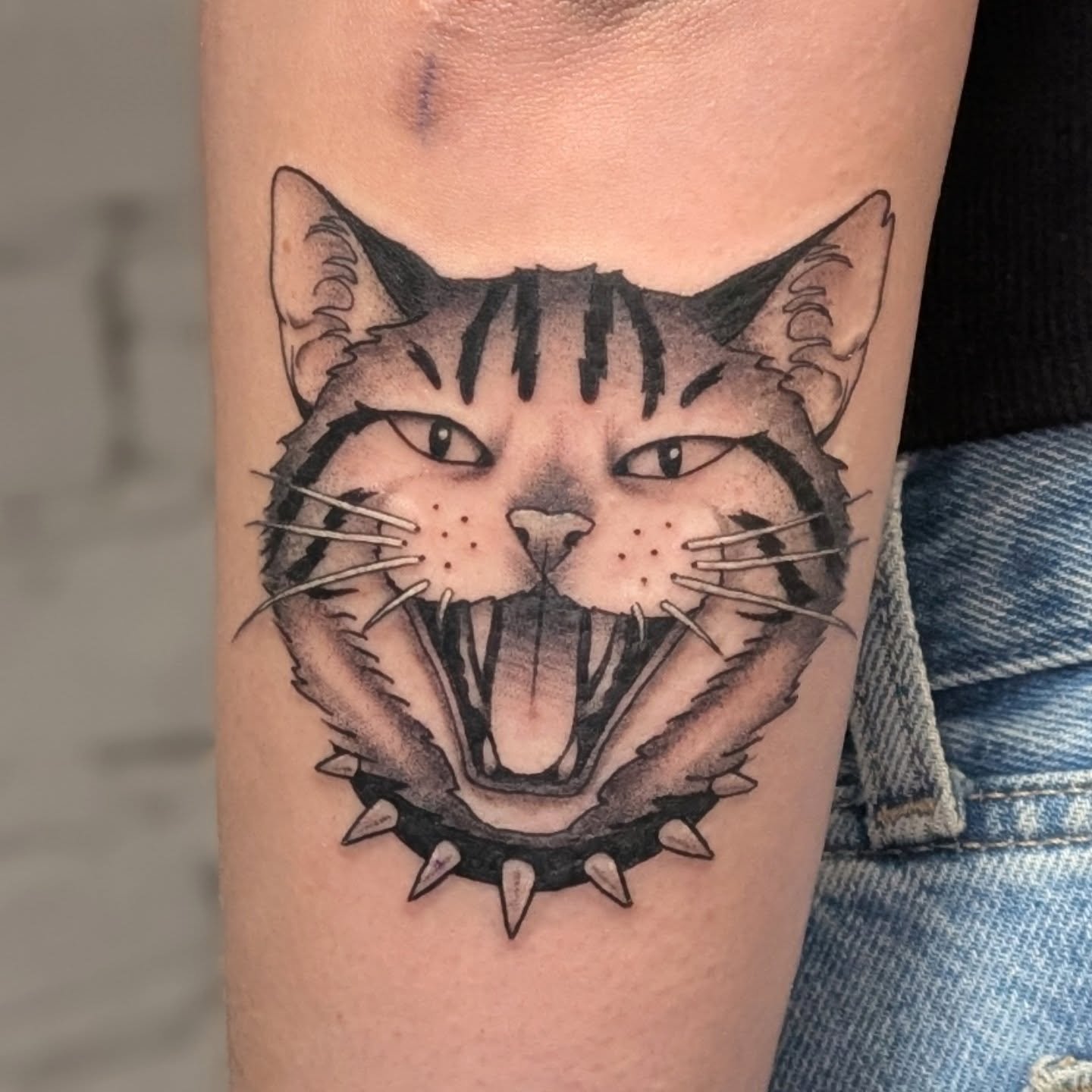 Black And Grey Hissing Cat Punk Tattoo