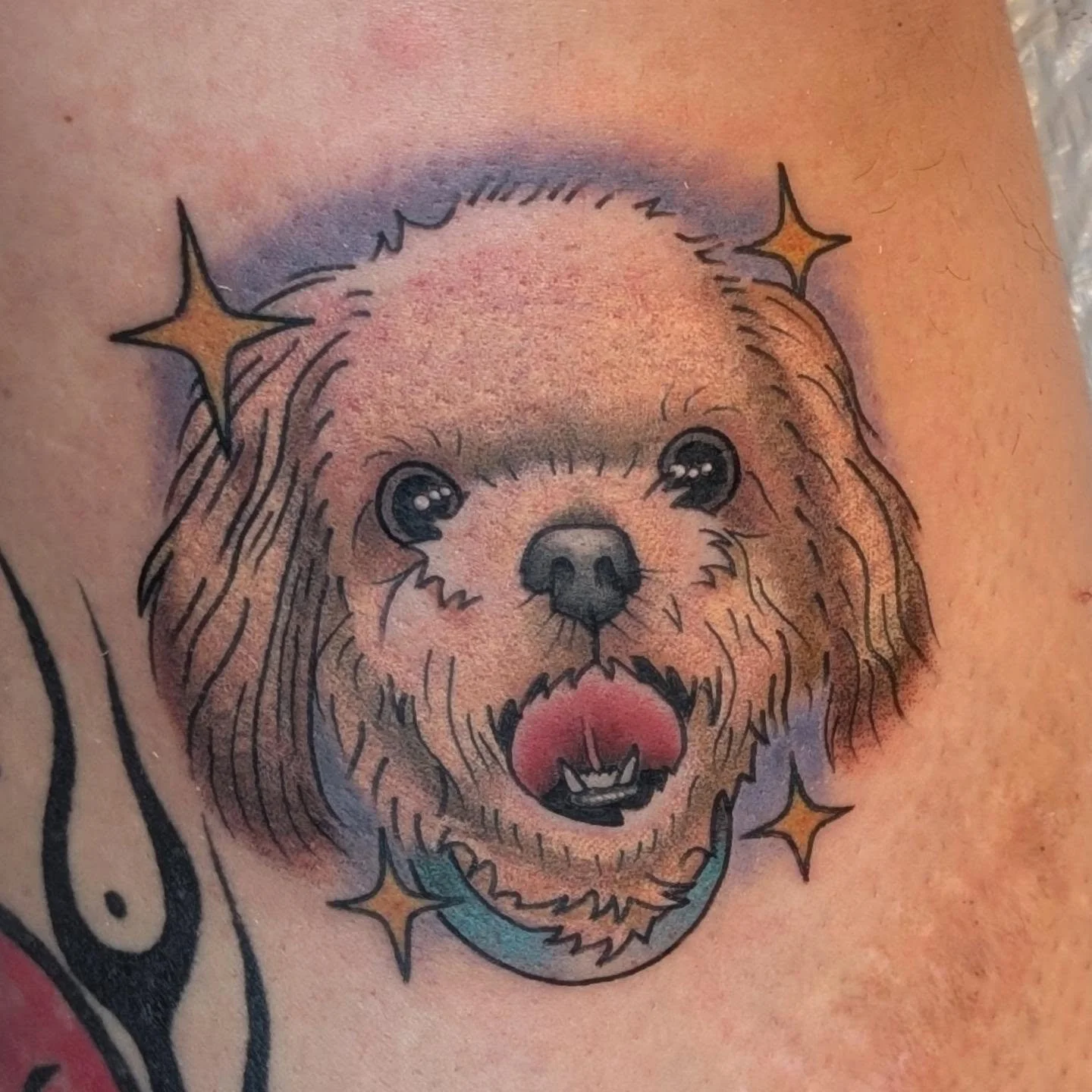 Cute Scruffy Dog Color Pet Portrait Tattoo Neo Traditional Neotrad