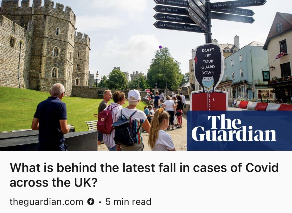 Kathy_Kyle_Illustrations_The_Guardian_Coverage_4.jpeg