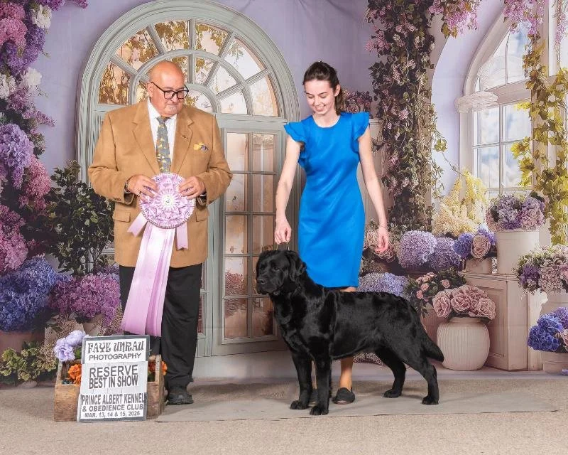 heather PA March-48286 copy.jpg