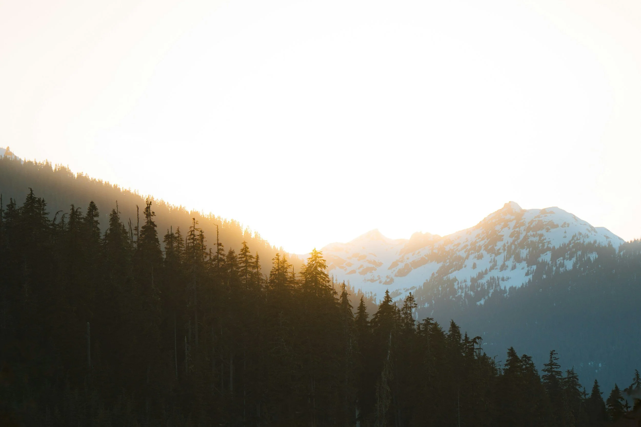 Sunrise over snow-capped mountains and a forest of evergreen trees.