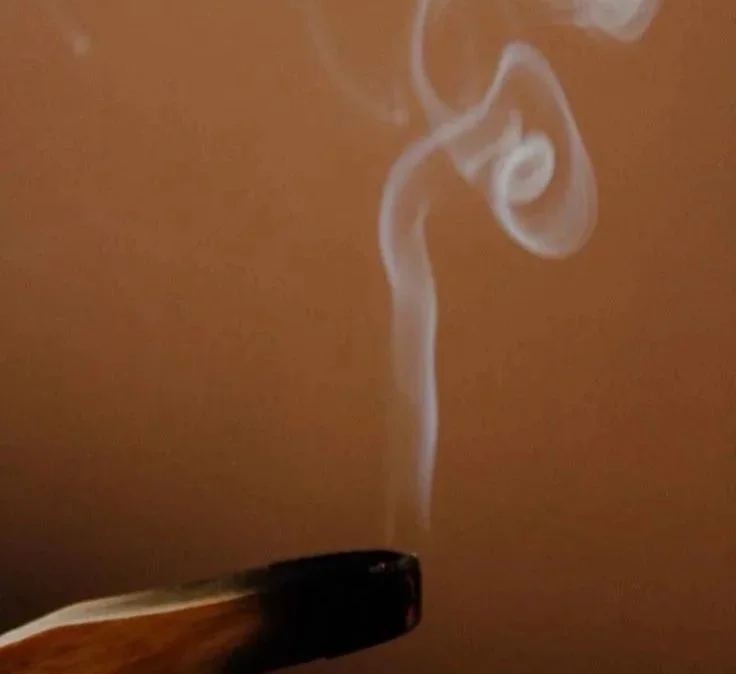 A burning incense stick with smoke curling upwards against a brown background.