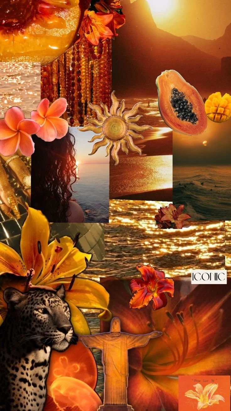 A collage of vibrant sunset scenes over water, tropical flowers like lilies and hibiscus, a woman with long curly hair facing the sunset, a cheetah, a papaya fruit, a sun symbol, and the Christ the Redeemer statue in Rio de Janeiro, Brazil.